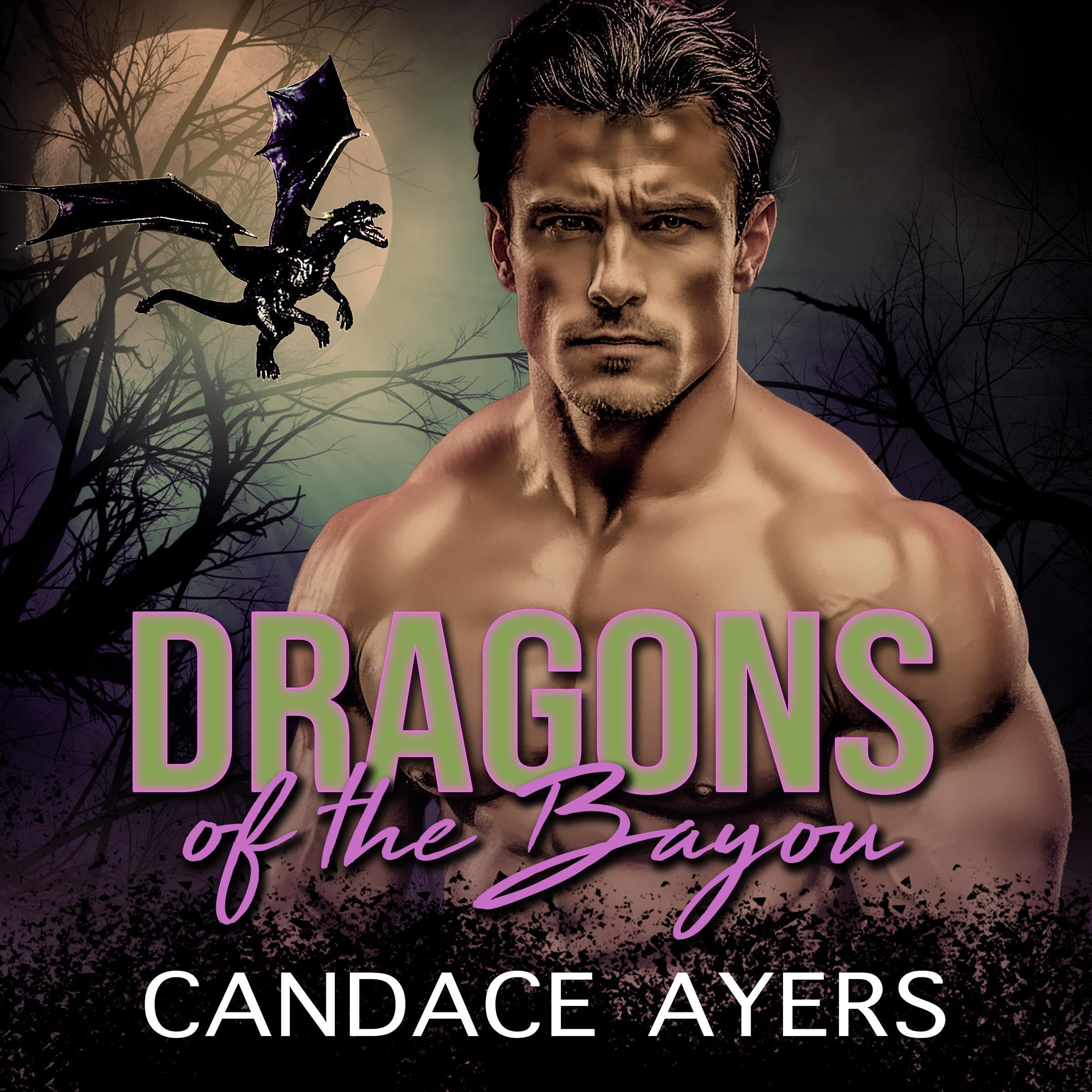 Cover art for Dragons of the Bayou Complete Series
