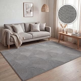 Paco Home Teppich Wohnzimmer Kurzflor, Moderne geometrische abstrakte Muster, 3D-Effekt, Regenbogen und Karo Design, glänzend luxuriös Ton in Ton, Farbe:Anthrazit - Bogen, Grösse:160x220 cm