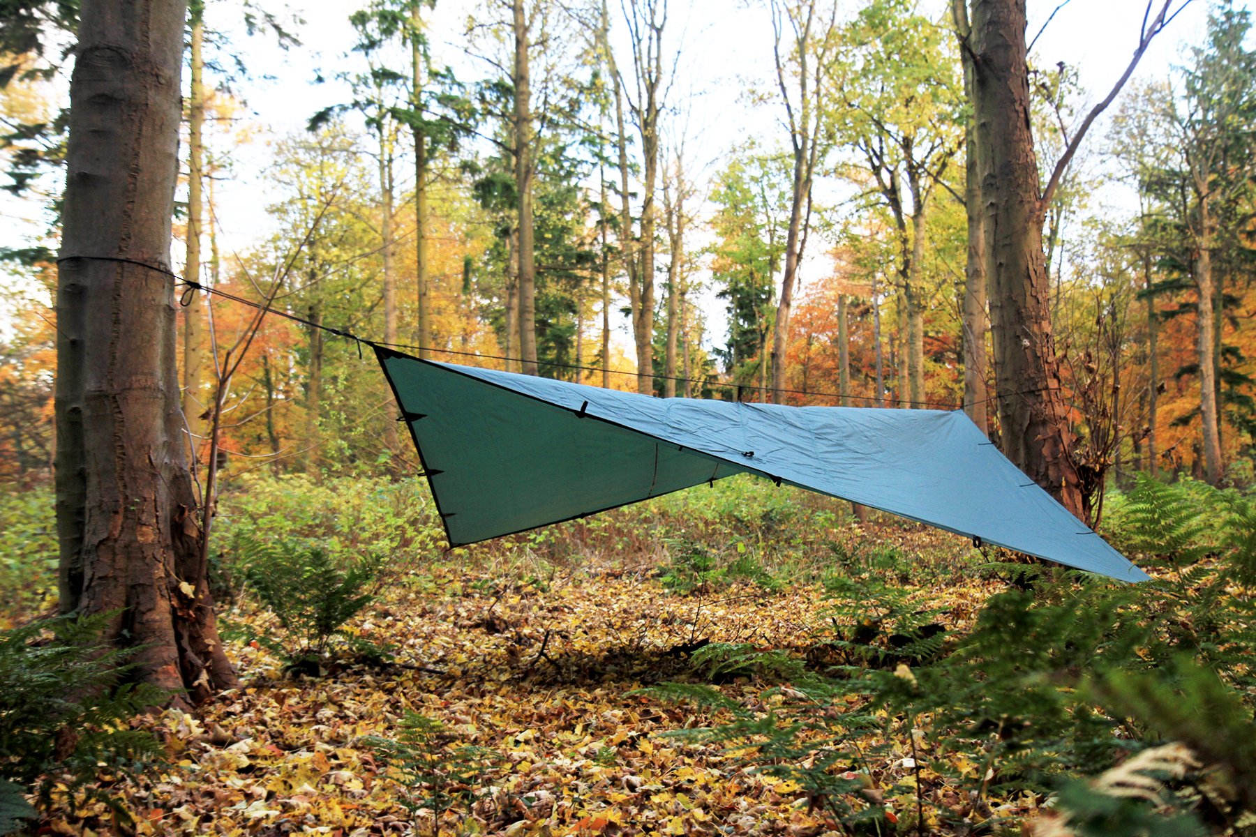 【極美品】仮張りのみ 人気品 DD Tarp 4x4 オリーブグリーン Amazon | DD Hammocks DD タープ 4×4 (オリーブグリーン) | DD