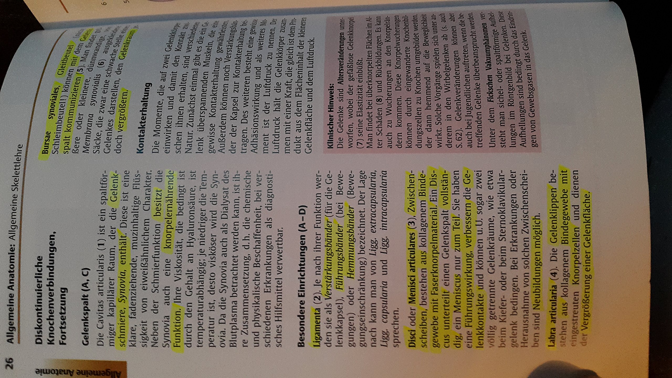 Taschenatlas Anatomie, Band 1: Bewegungsapparat