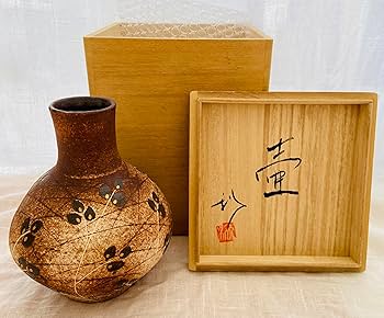 917lkhV76oL._AC_UF350,