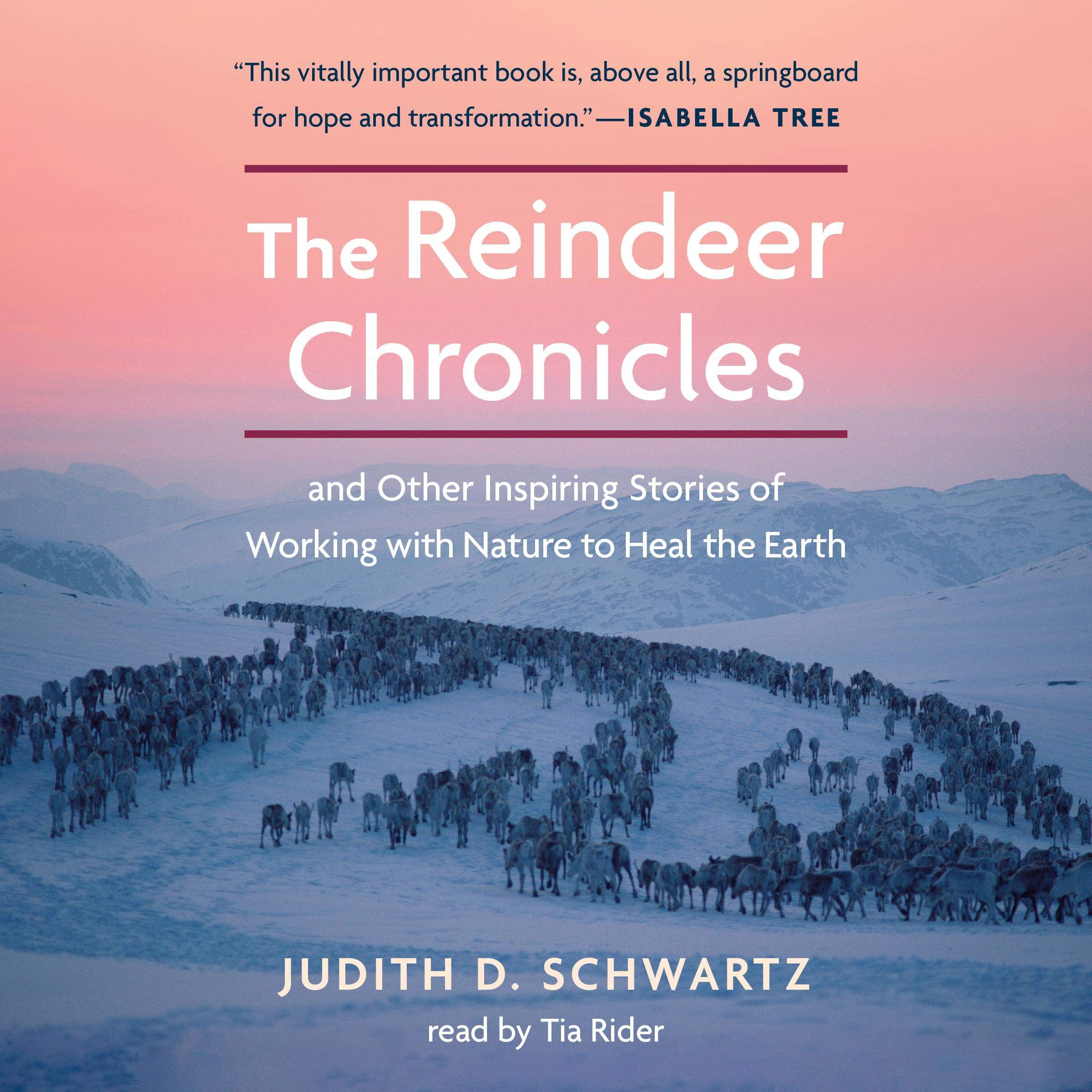 Cover art for The Reindeer Chronicles