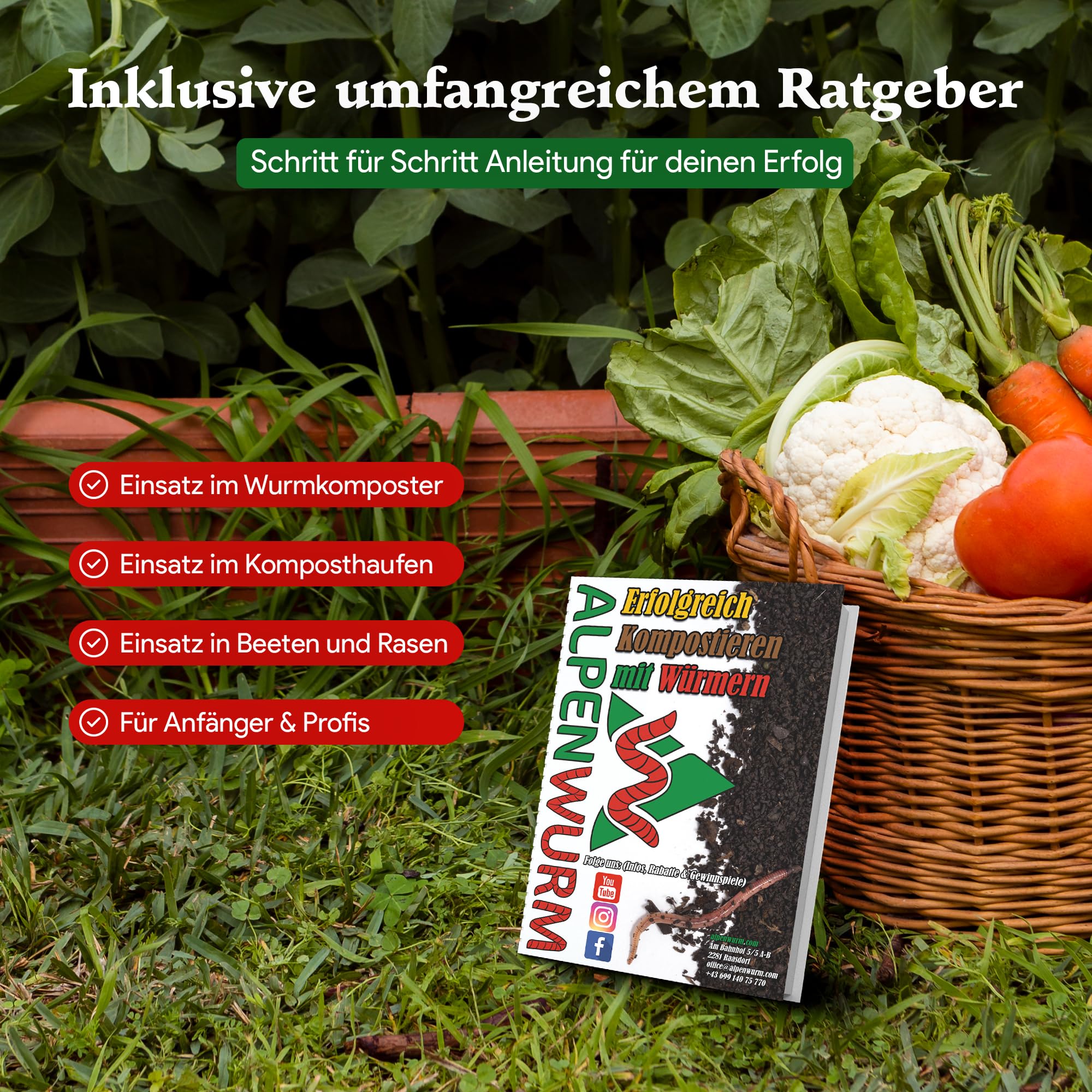 0,5 kg de vers de compost (min. 500 pièces) | Vers de terre, mélange Eisenia vivant pour compost, jardin, vermicomposteur, boîte à vers, plate-bande surélevée