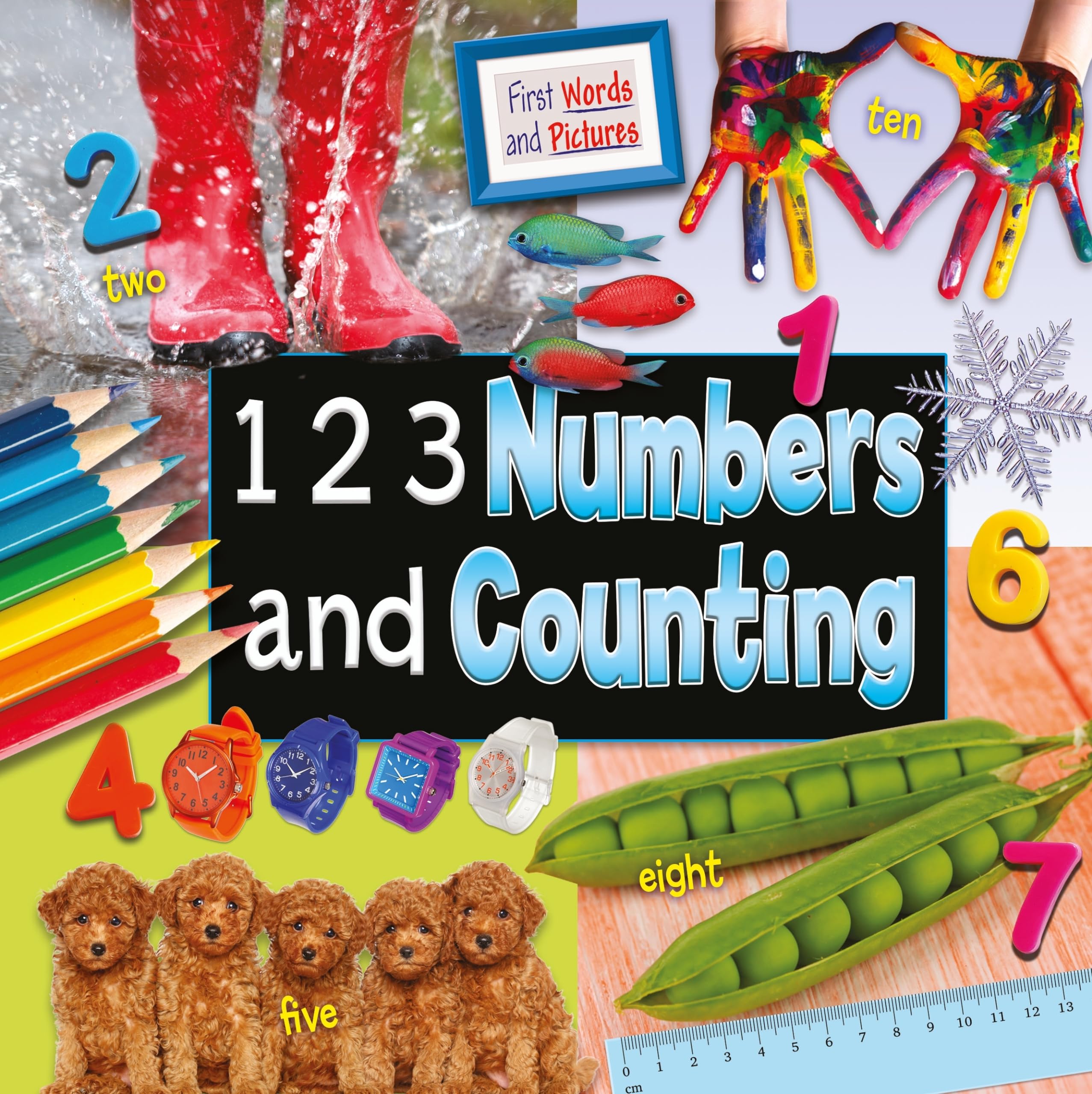 1 2 3 Numbers and Counting (First Words and Pictures)