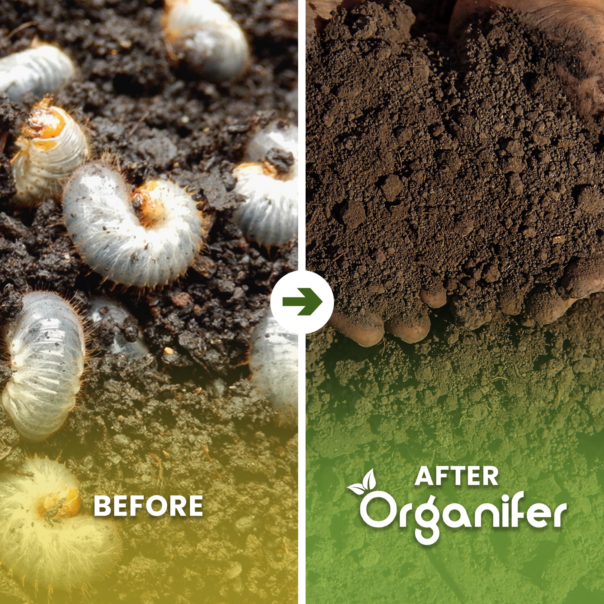 Concentrado De Suelo - 10L - 10000m2 | Cuidado Del Suelo - Tratamiento Ecológico - Solución No Tóxica - Fertilizante Para Jardín - Organifer