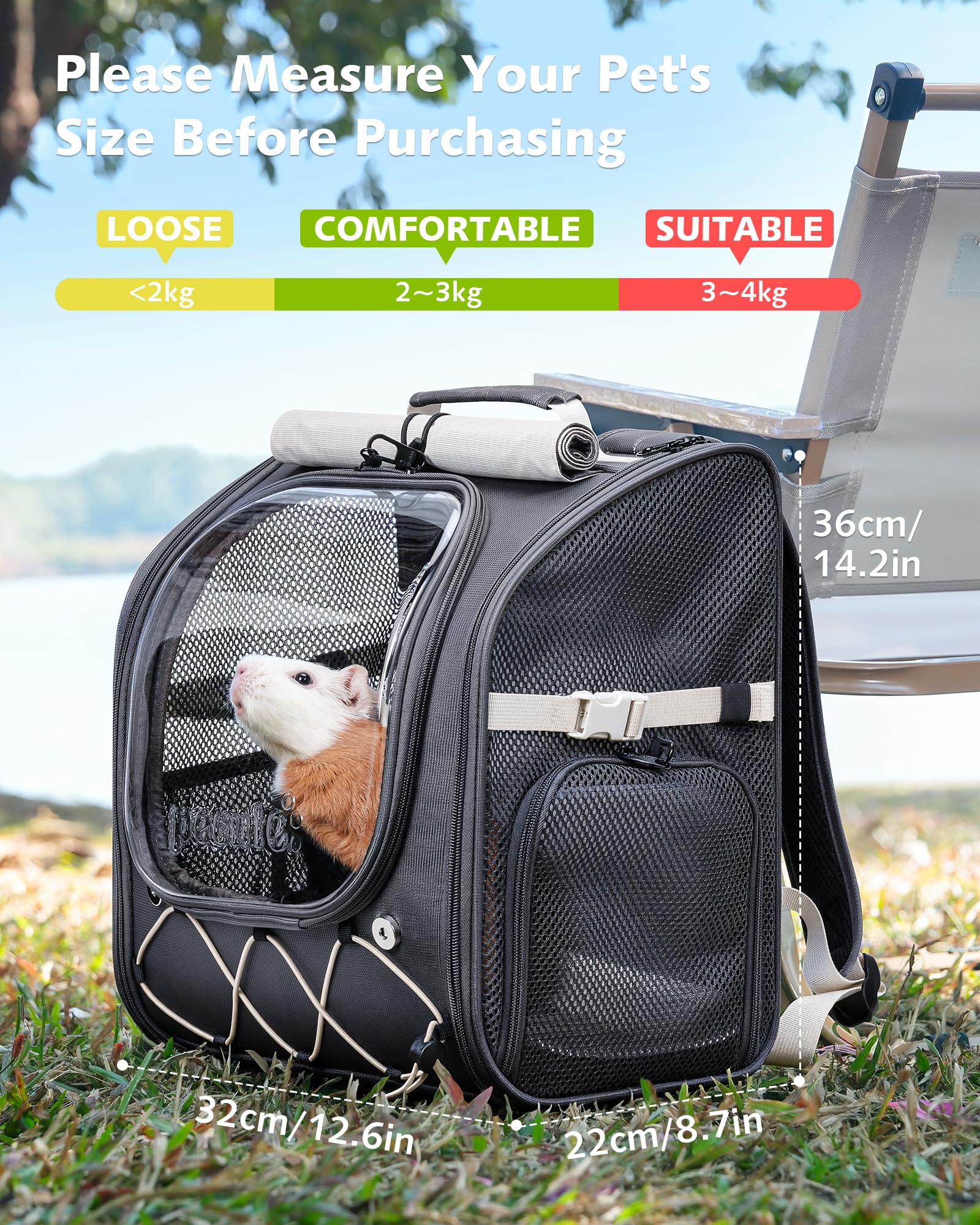 Pecute Zaino per animali domestici di piccola taglia, traspirante, stabile, con bolle, con tende a rullo per protezione solare, zaino per cani per escursioni, passeggiate, viaggi, grigio