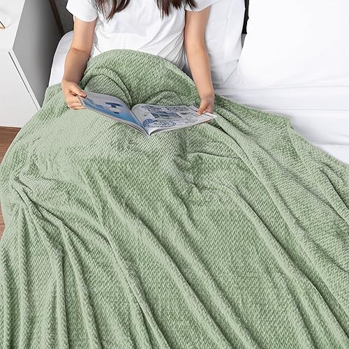 Vista 22 de PAVILIA Manta de forro polar suave gris claro para sofá, manta ligera de felpa cálida para cama, manta de franela mullida y acogedora para sofá