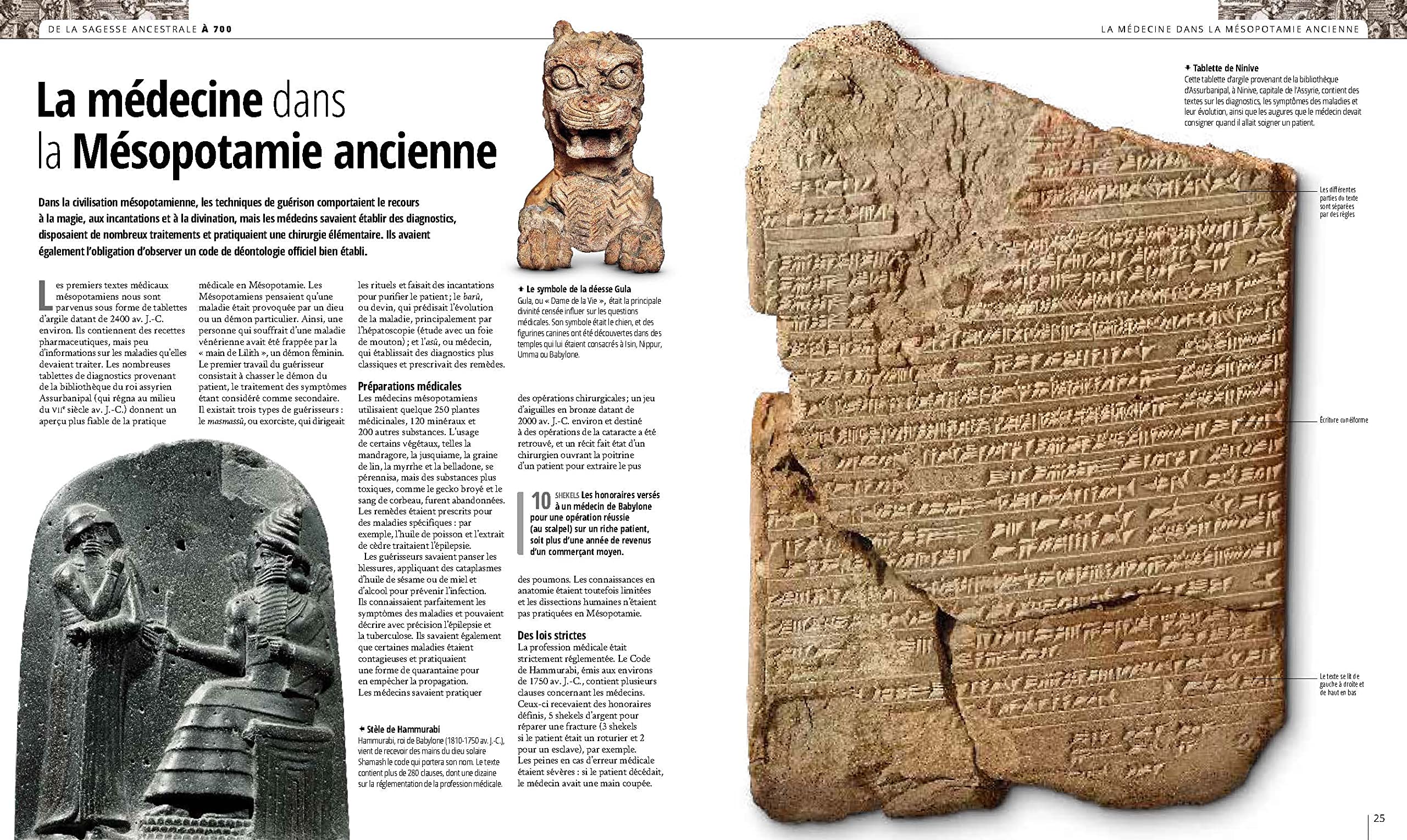 Médecine, histoire illustrée de l'Antiquité à nos jours