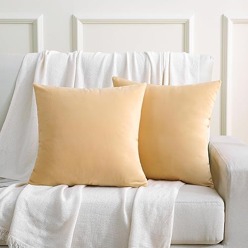 SHENGDETECH Juego de 2 fundas de almohada cuadradas de terciopelo de 250 GSM, de 18 x 18 pulgadas, supersuaves, de color liso, para decoración de