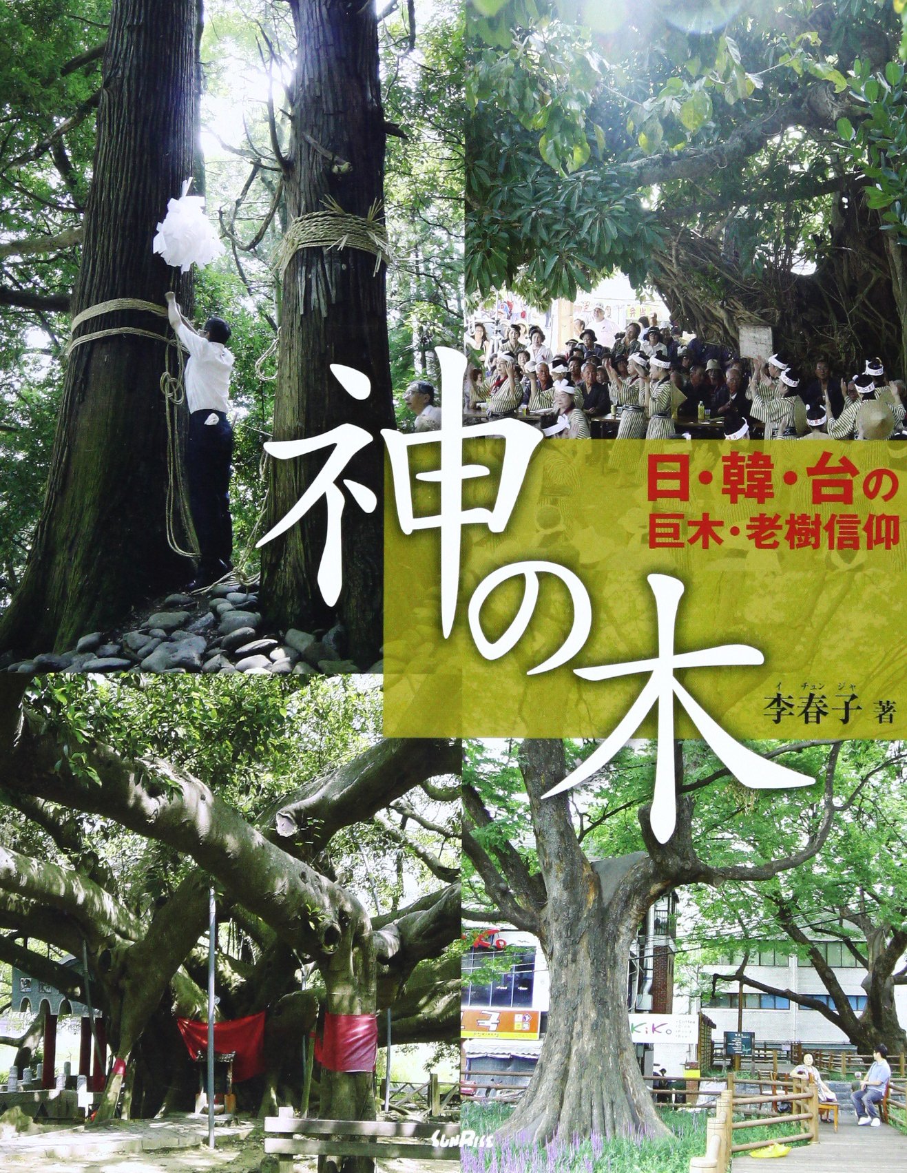 日の木 917nmvTasaL.jpg