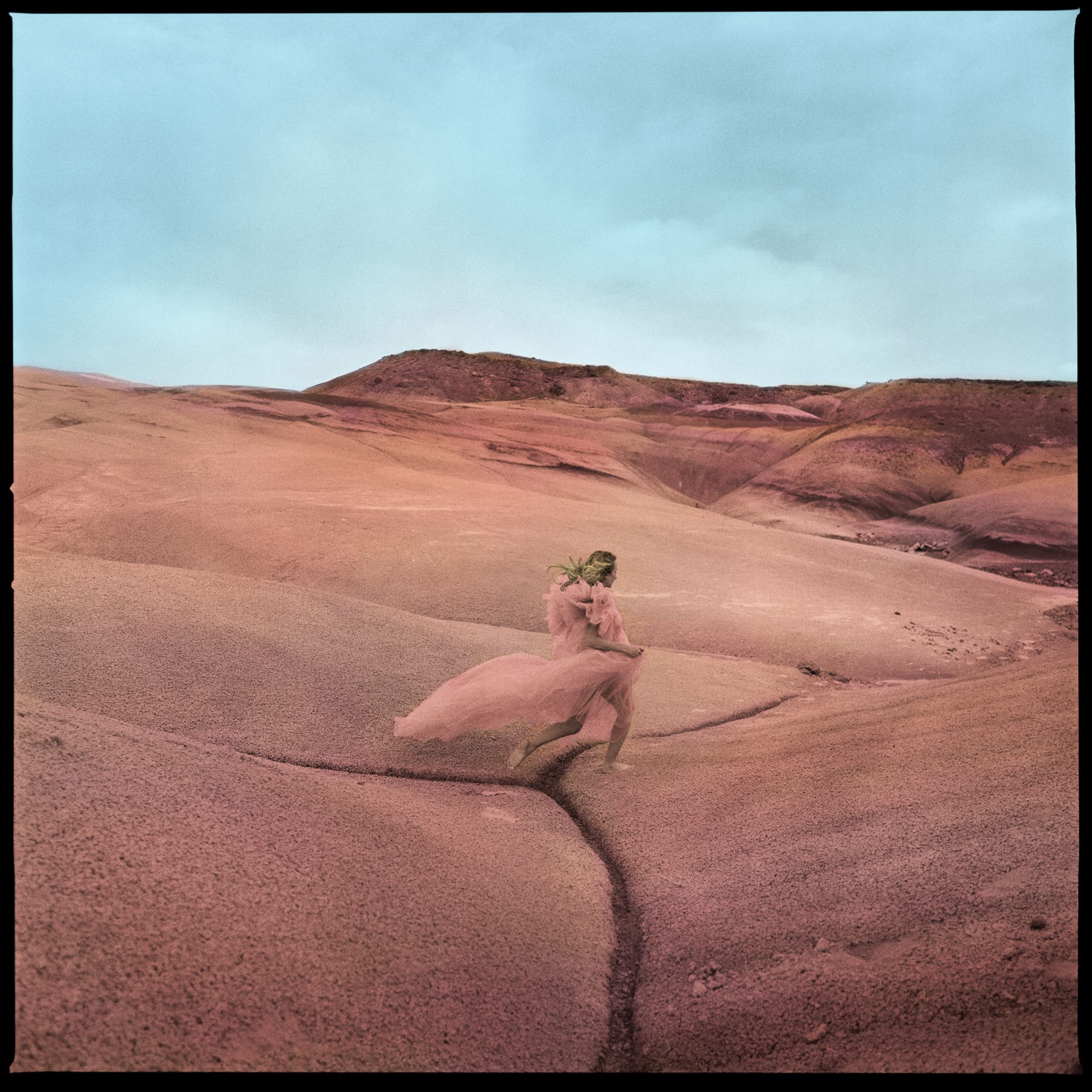 Strays [Shrimp Pink Vinyl] [VINYL]