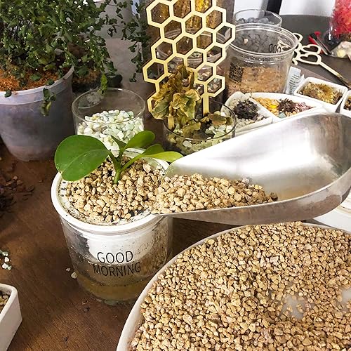 Miniatura 24 de Mezcla de rocas de lava de 18 libras para plantas en puerta, guijarros de grava para bonsái suculentos y rellenos de jarrones, jardinería de hadas