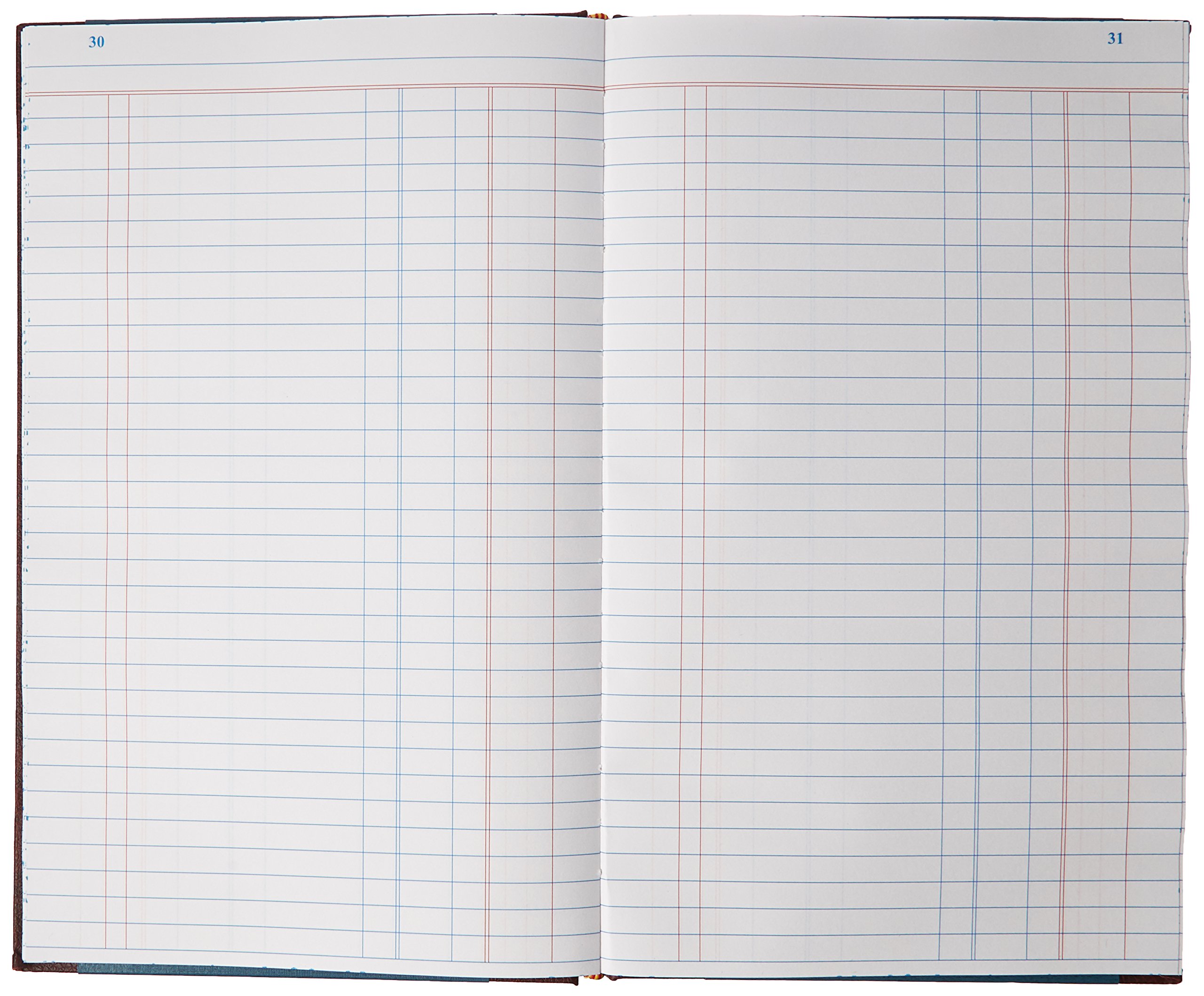 Amazon.com : Acco/Wilson Jones Products - Account Book, S.E. Ledger-Ruled,  150 Pages, 11-3/4"x7-1/4", Blue - Sold as 1 EA - Single-entry ledger book  contains 150 numbered pages with 33 lines per page.