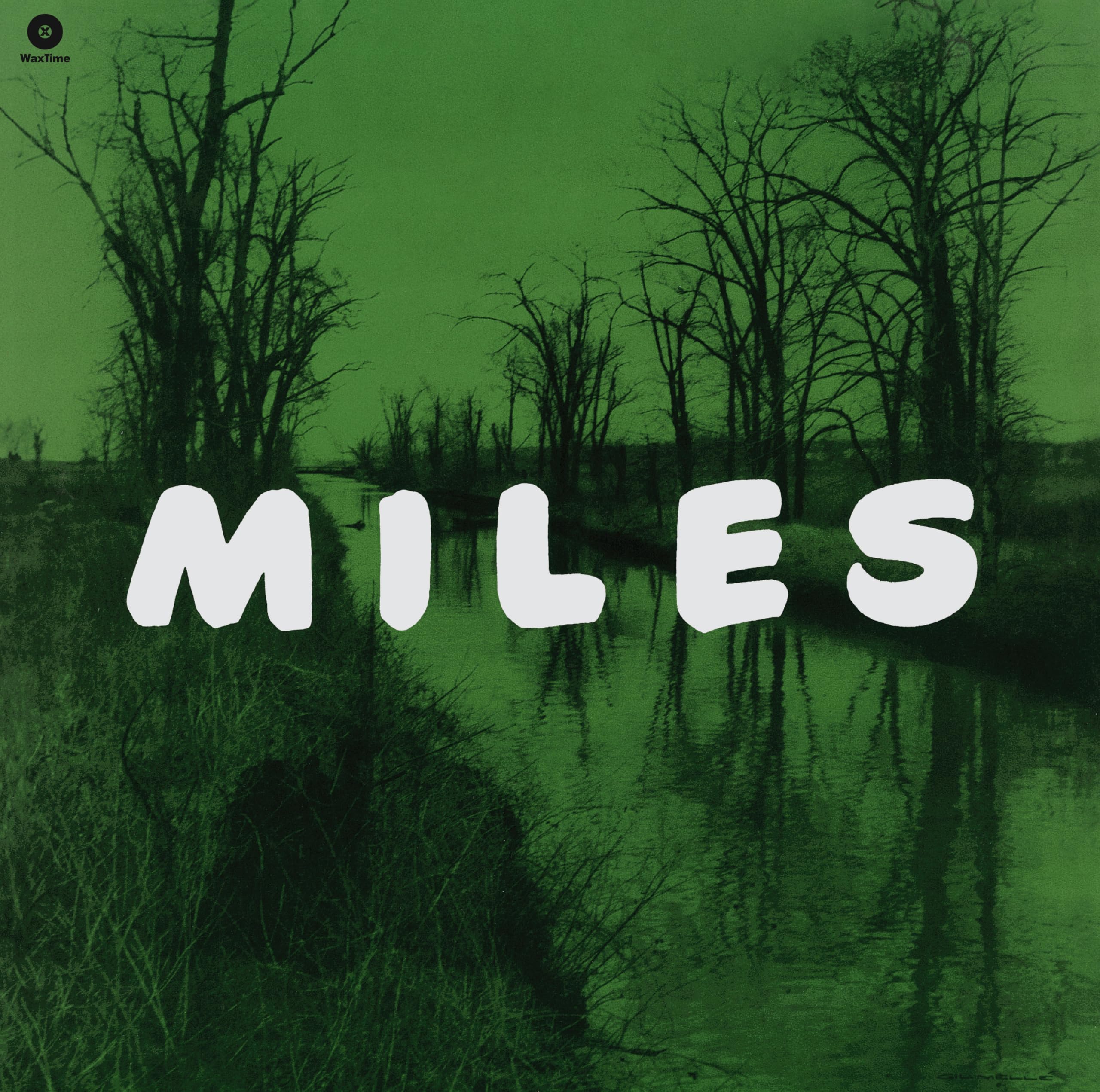Vinyl Castle Miles
