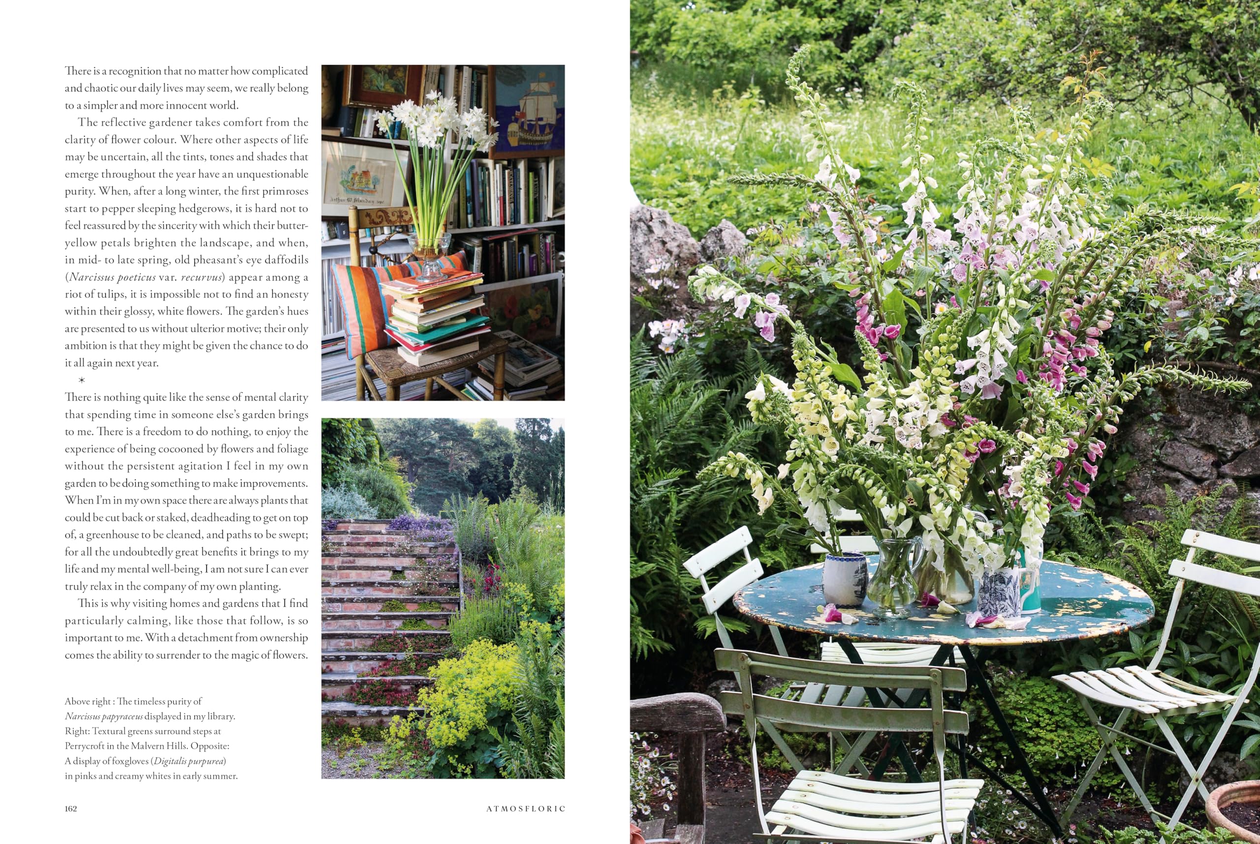 Atmosfloric: Flower colour in home and garden