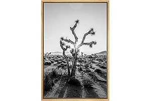 Rustic Black & White Landscape Nature Framed Canvas Print