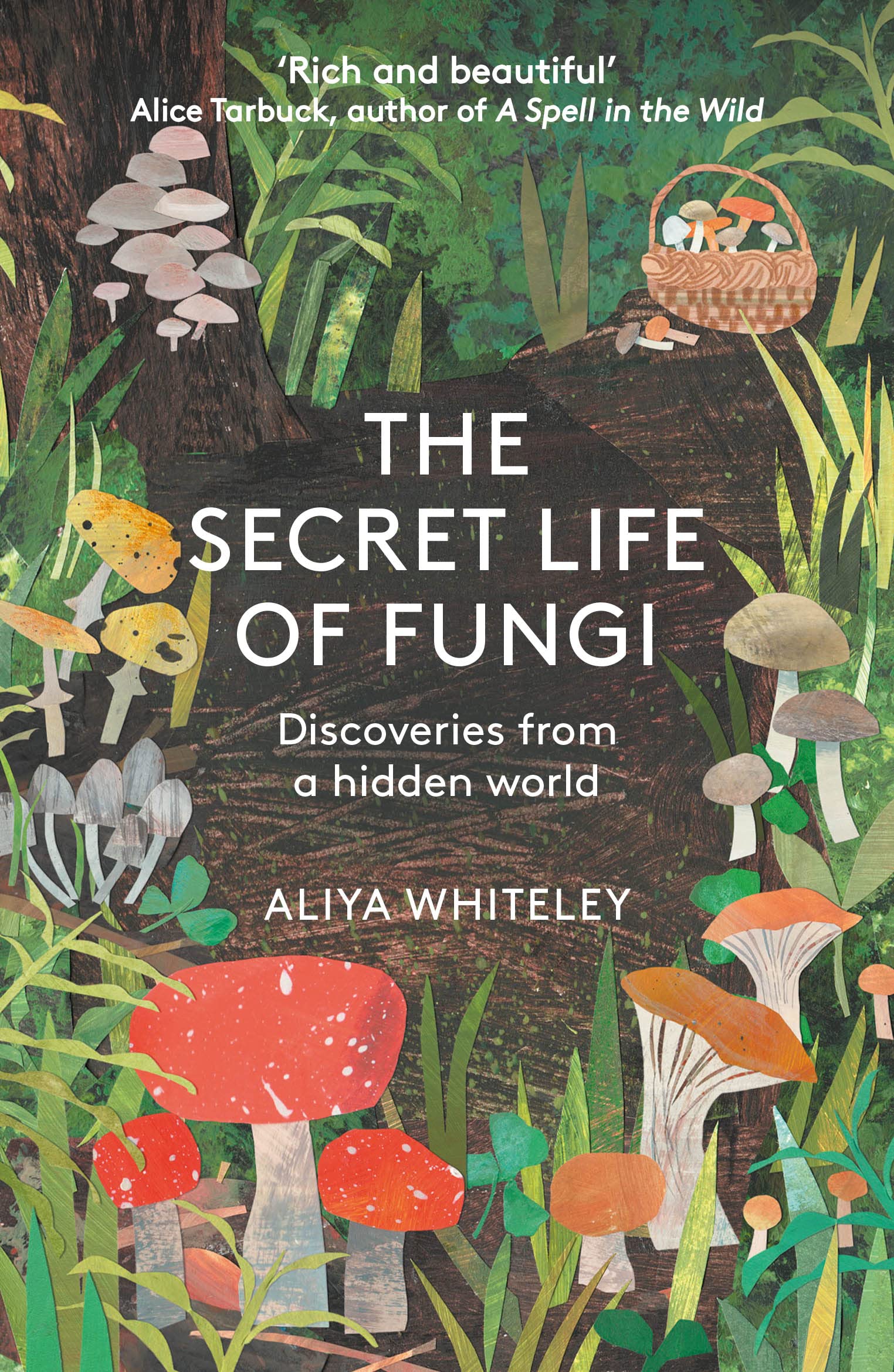 The Secret Life of Fungi : Discoveries From a Hidden World