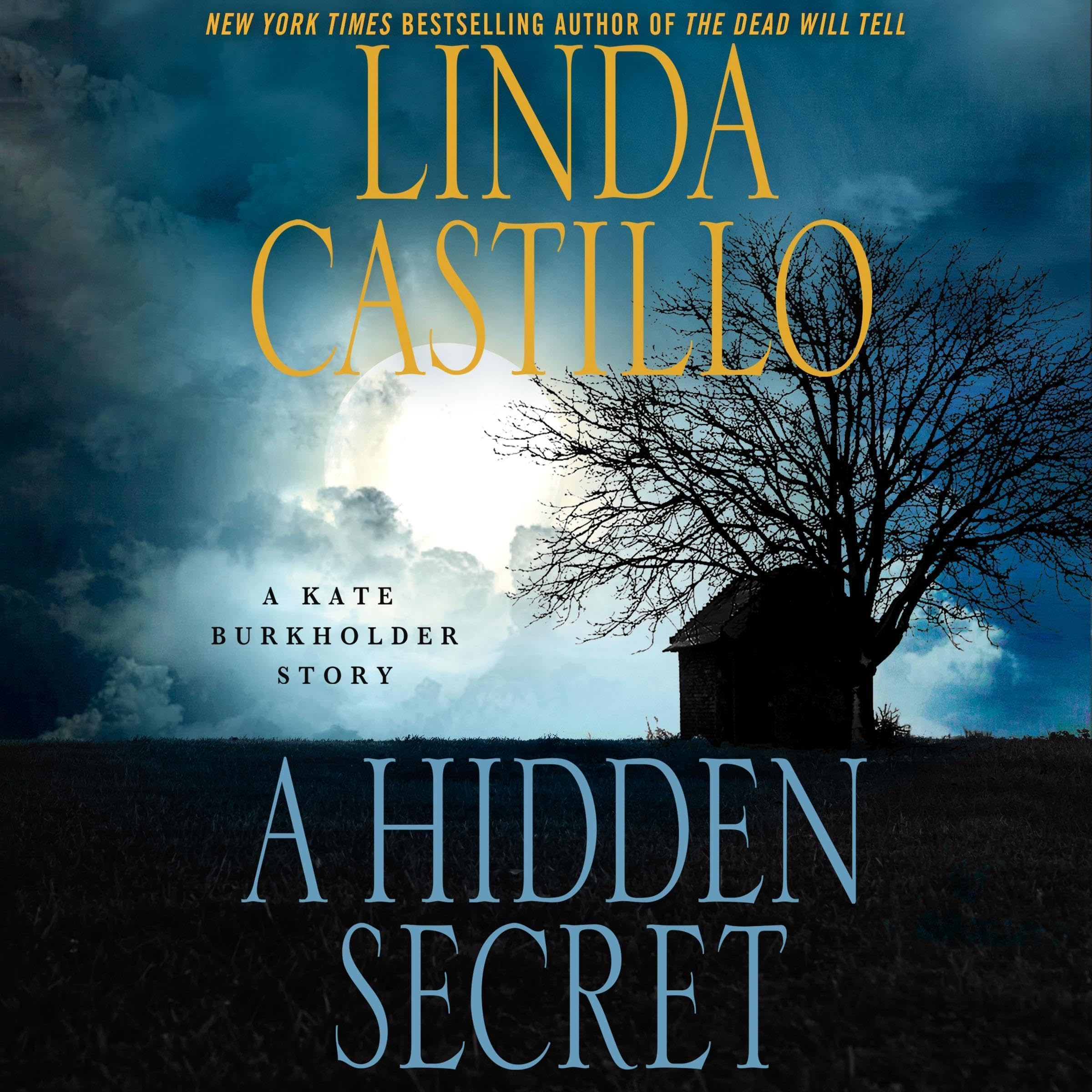 Cover art for A Hidden Secret