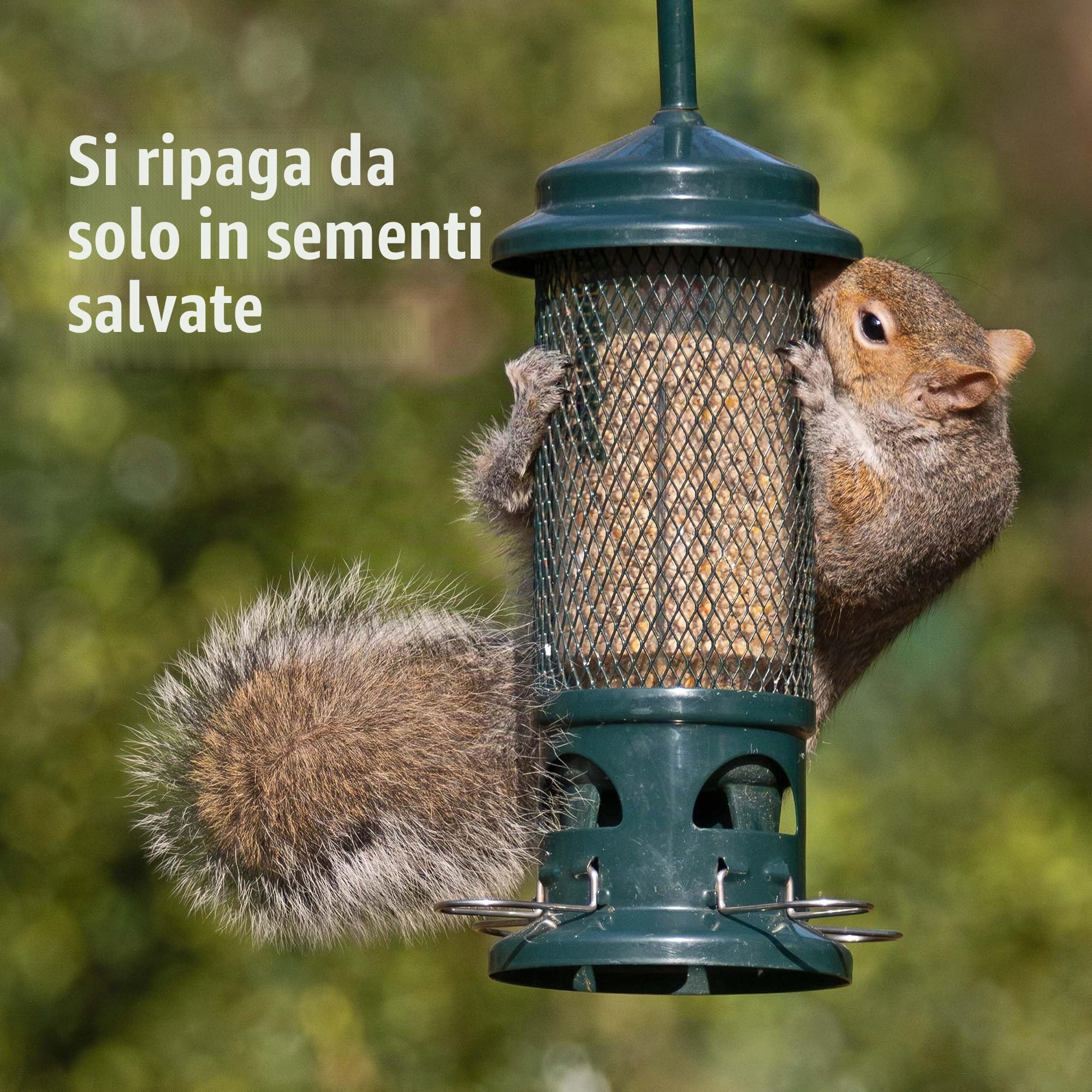 Jacobi Jayne, mangiatoia per uccelli con sistema anti scoiattoli
