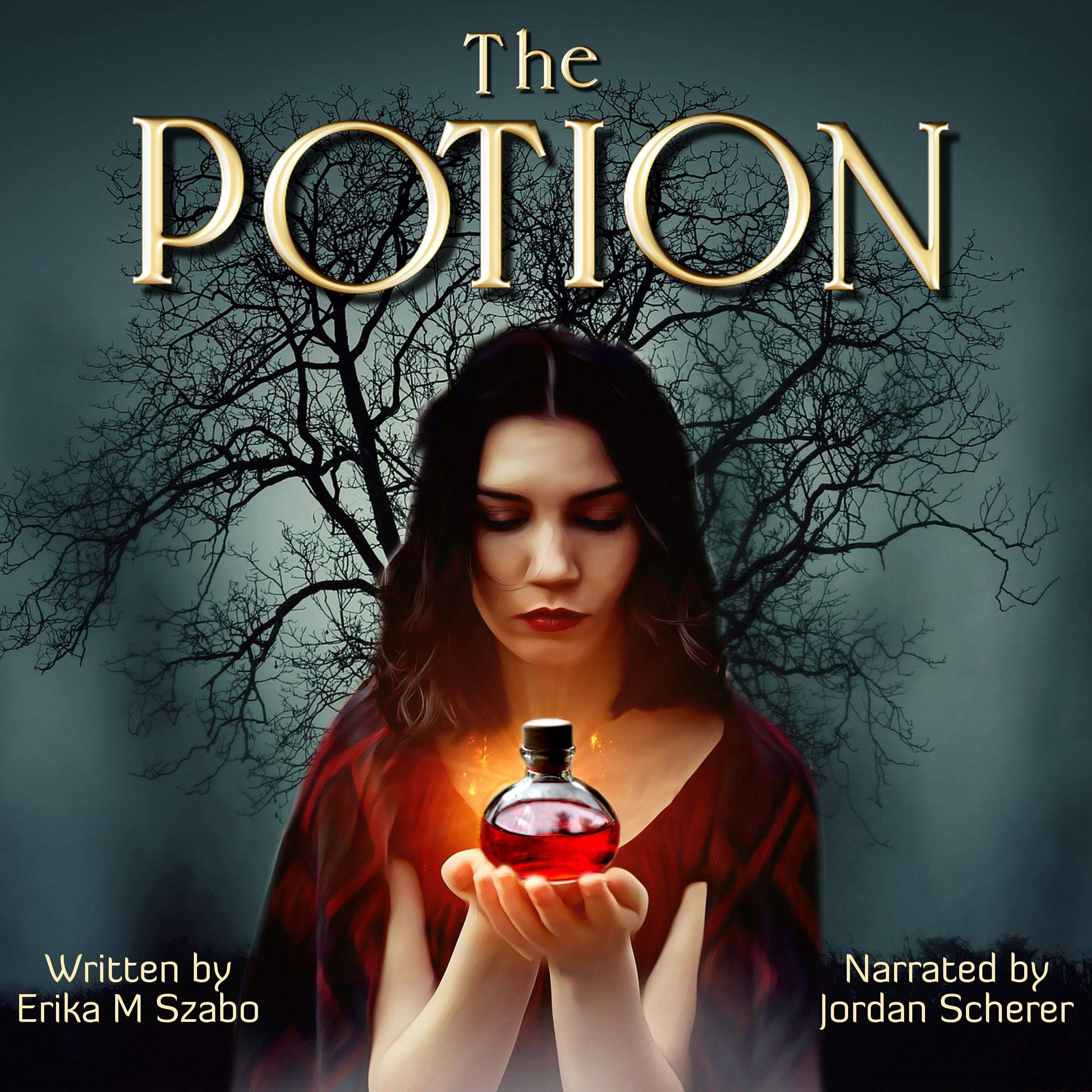Cover art for The Potion