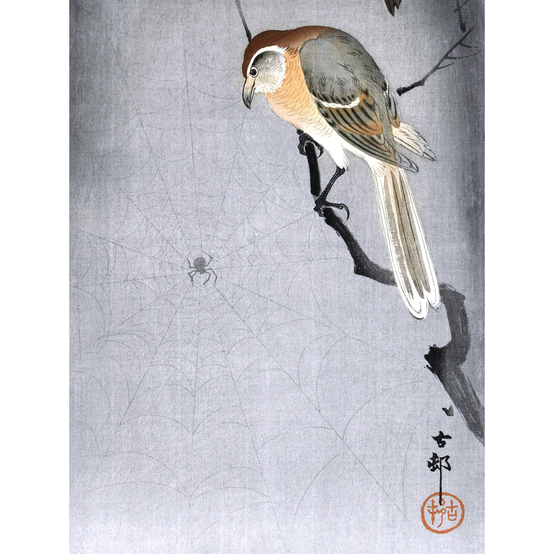 Wee Blue Coo Buffalo Shrike Spider Ohara Koson Art Print Poster Wall Decor