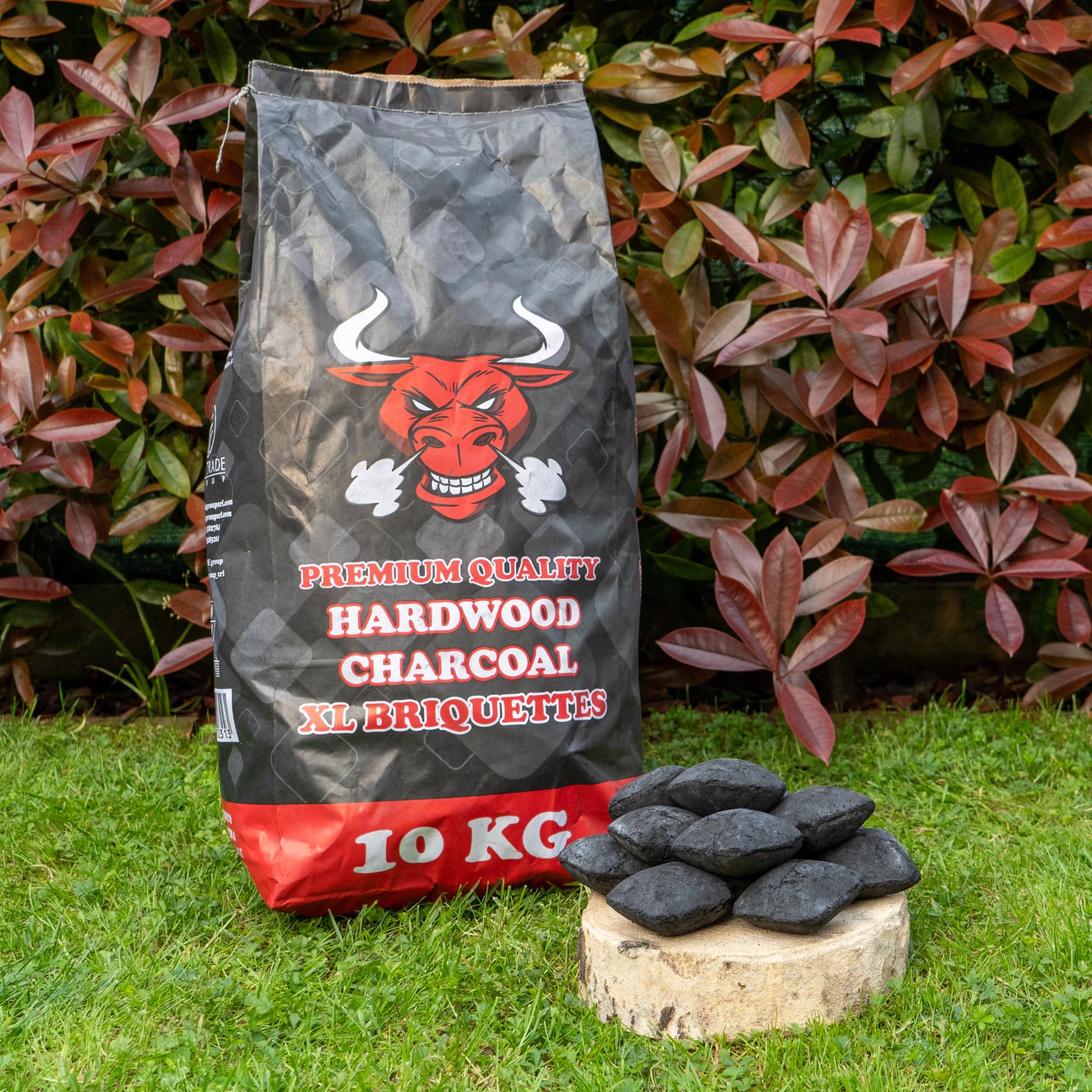 TORO - BRICCHETTE XL per Barbecue, Composto da Quebracho Blanco, Indicato sia per Cotture Veloci sia per Cotture Lente, Pezzatura Formato XL, 10 kg