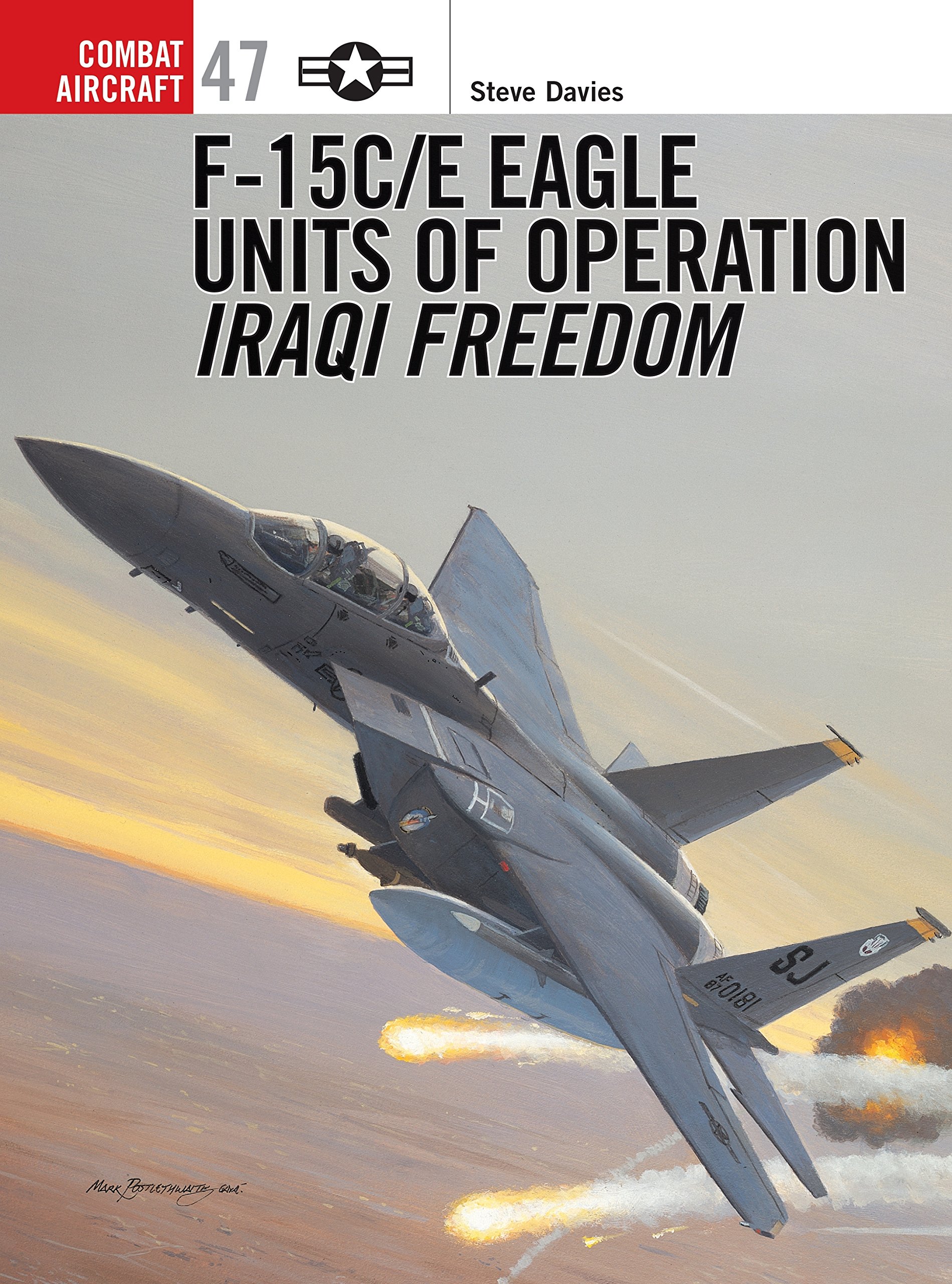 F-15C/E Eagle Units in Operation Iraqi Freedom: 47 (Combat Aircraft)