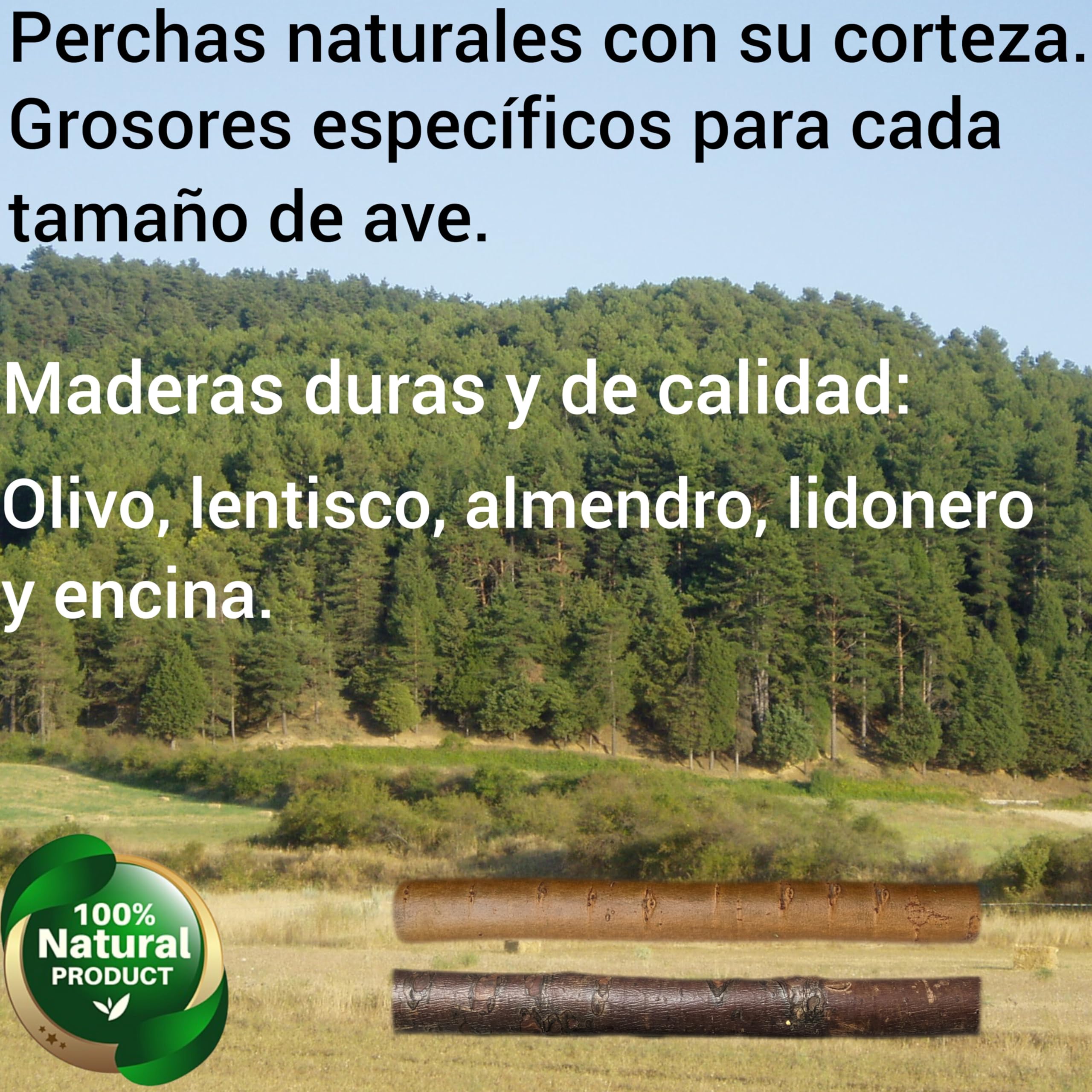 2+2 und comederos de acero inoxidable y perchas para jaula de loro yaco, guacamayo, cuencos 10 y 12cm para pienso y semillas de pájaros agaporni, ninfa, accesorios aviario y voladera de aves. (S)