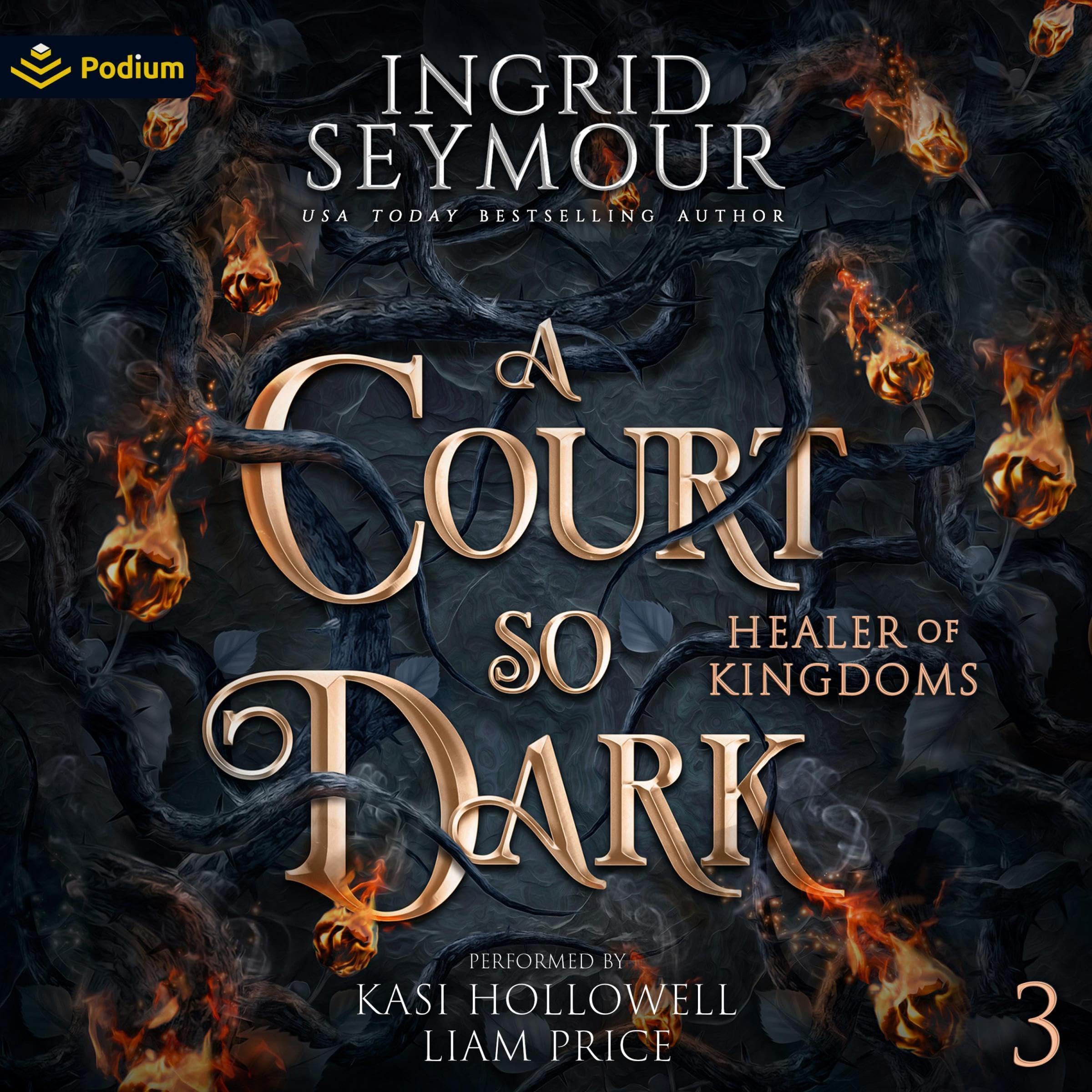 Cover art for A Court So Dark