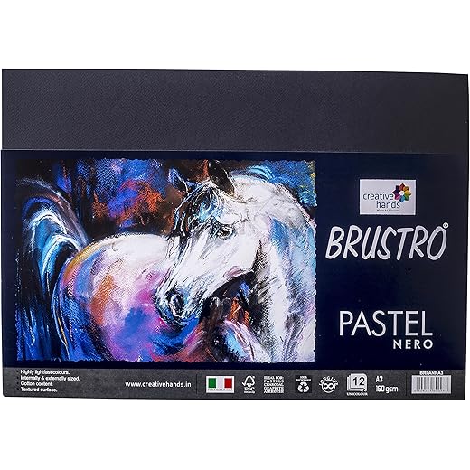 Brustro Pastel Paper 160 GSM A3 Pack of 12