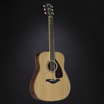 Amazon.co.jp: ヤマハ YAMAHA ギター アコースティックギター FG