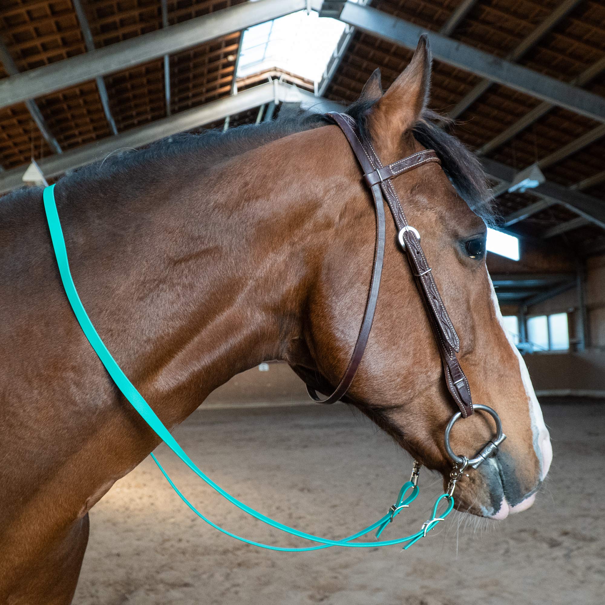 Rênes Fermées Biothane - 16 Mm - Rouge-brun - COLLAR&LEASH - Fabriquées En Allemagne