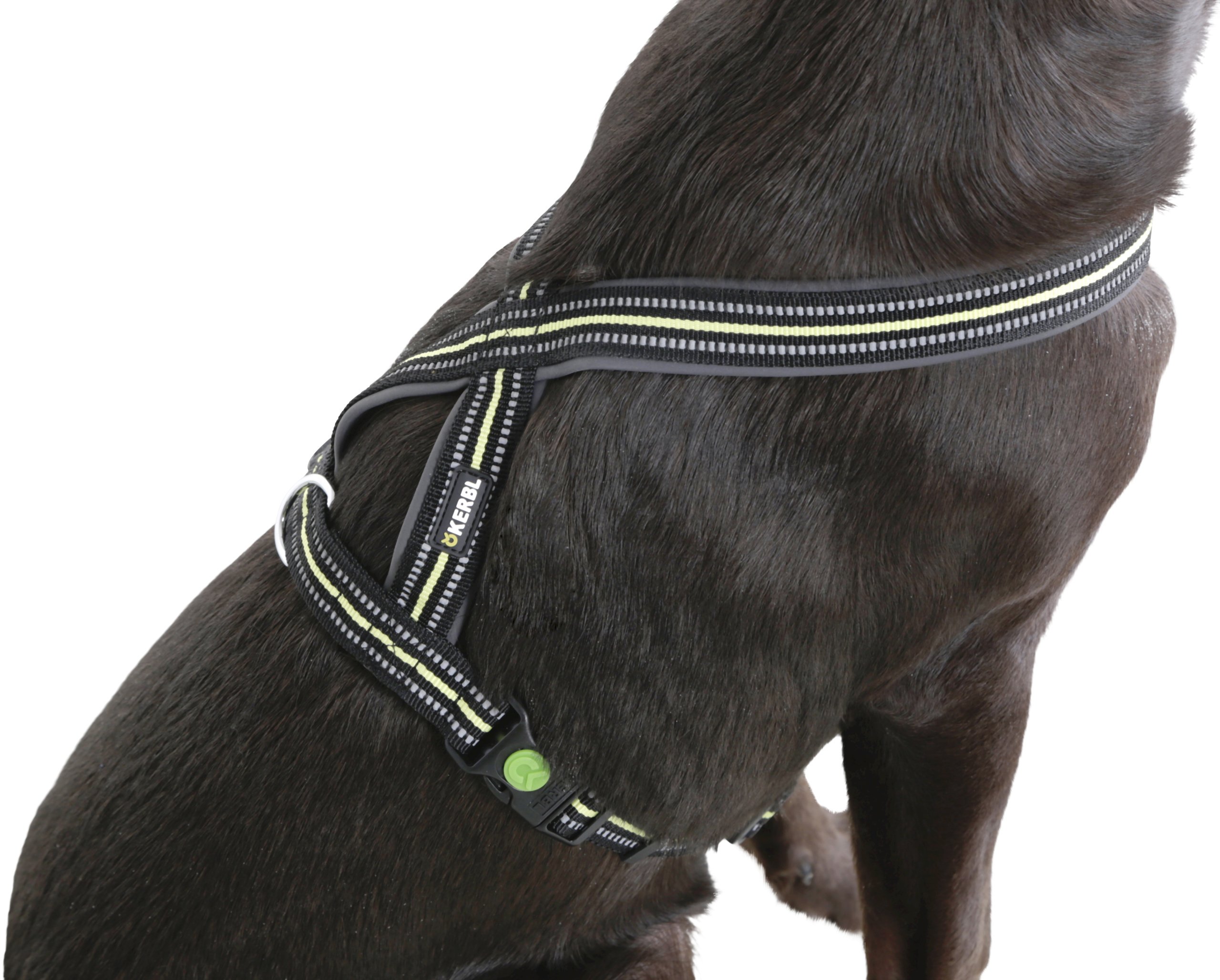 Kerbl Reflective Padded Harness, 20 x 40 to 60 cm, Black/Yellow, 20 x 40 to 60 cm (Pack of 1)
