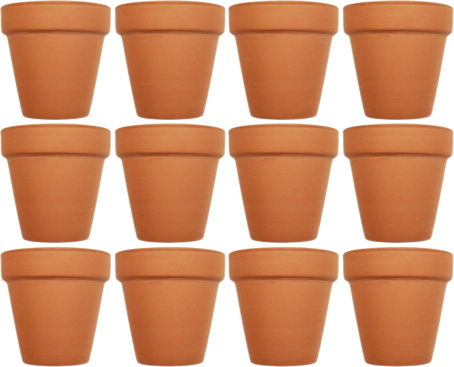 Buy Set of 12 Terra Cotta Pots! 3 x 2.95 Pots Perfect for Vegetable or