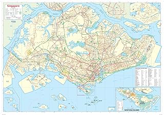 Singapore Wall Map - 39.5" x 27.75" Paper