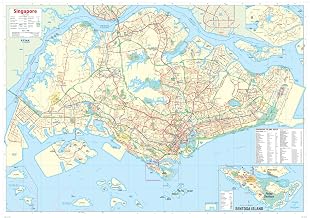 Singapore Wall Map - 39.5" x 27.75" Paper