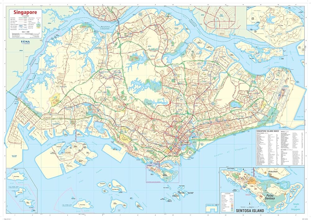 地図 Amazon | シンガポール壁地図 - 40.25インチ x 28.5インチ