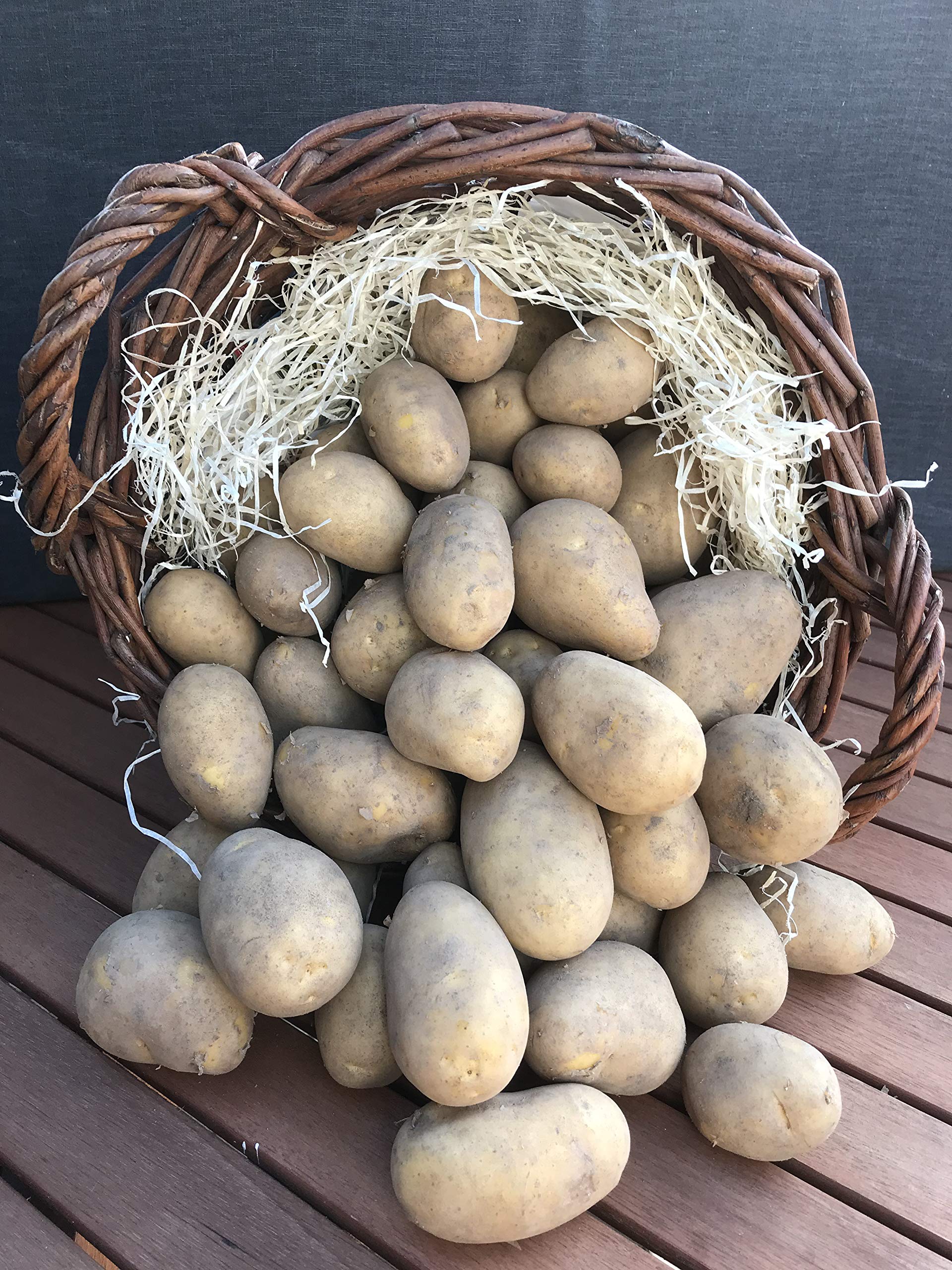 Kartoffel Lilly 10 kg, frische deutsche mehlig kochende Speisekartoffeln, kräftig gelb, Potato, für Pürreekartoffeln, Püree, Pommes, Kartoffelsuppen,