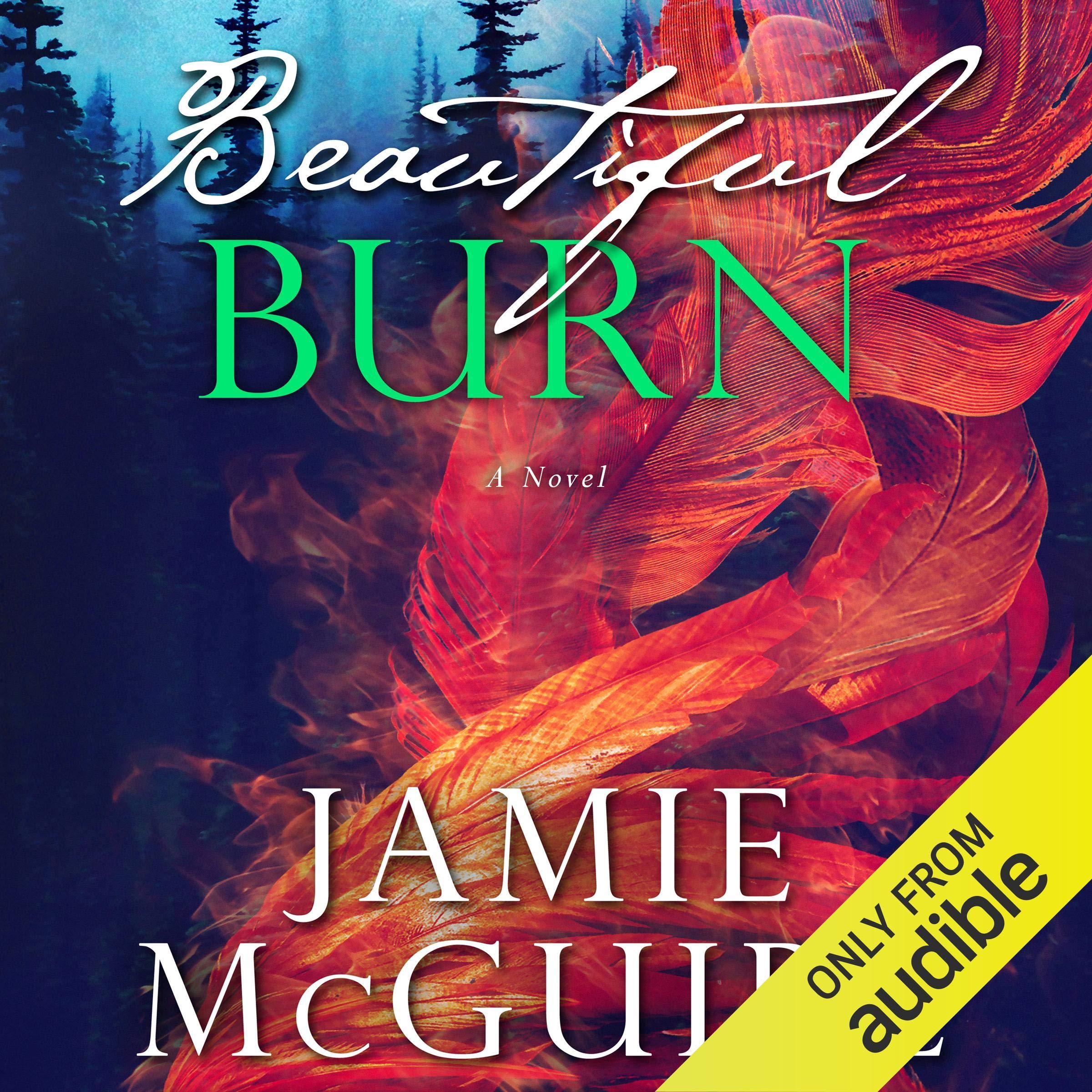 Cover art for Beautiful Burn