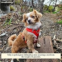 Vista 54 de Lucy & Co. Arnés para perro Midnight No-Pull – Talla M – Chaleco para dejar de tirar y caminar fácil – Cómodo producto de entrenamiento de correa