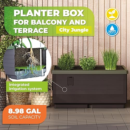 Miniatura 3 de JGL City Jungle - Soporte básico para plantas, color gris carbónverde