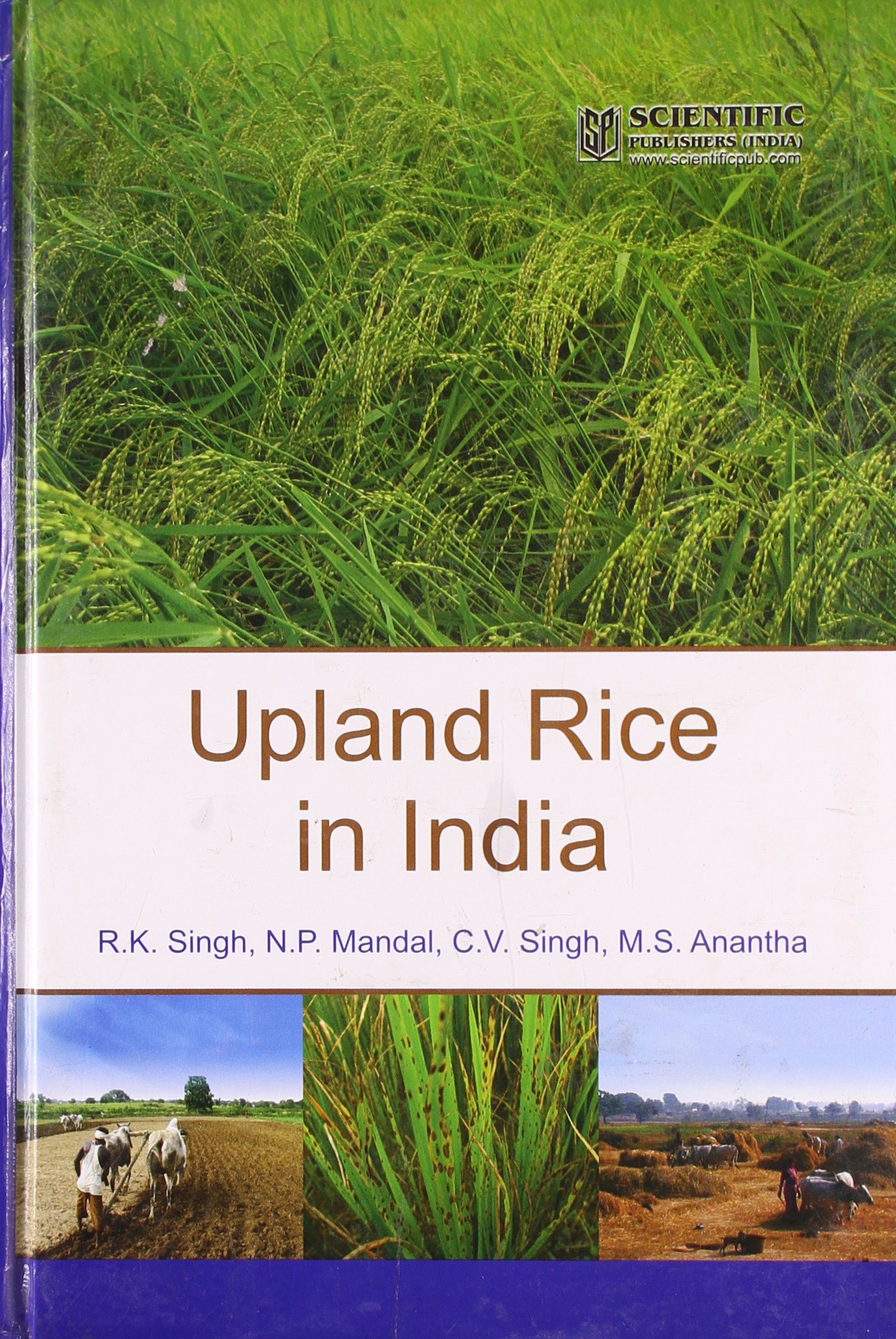 Buy Upland Rice in India — BookShops.in