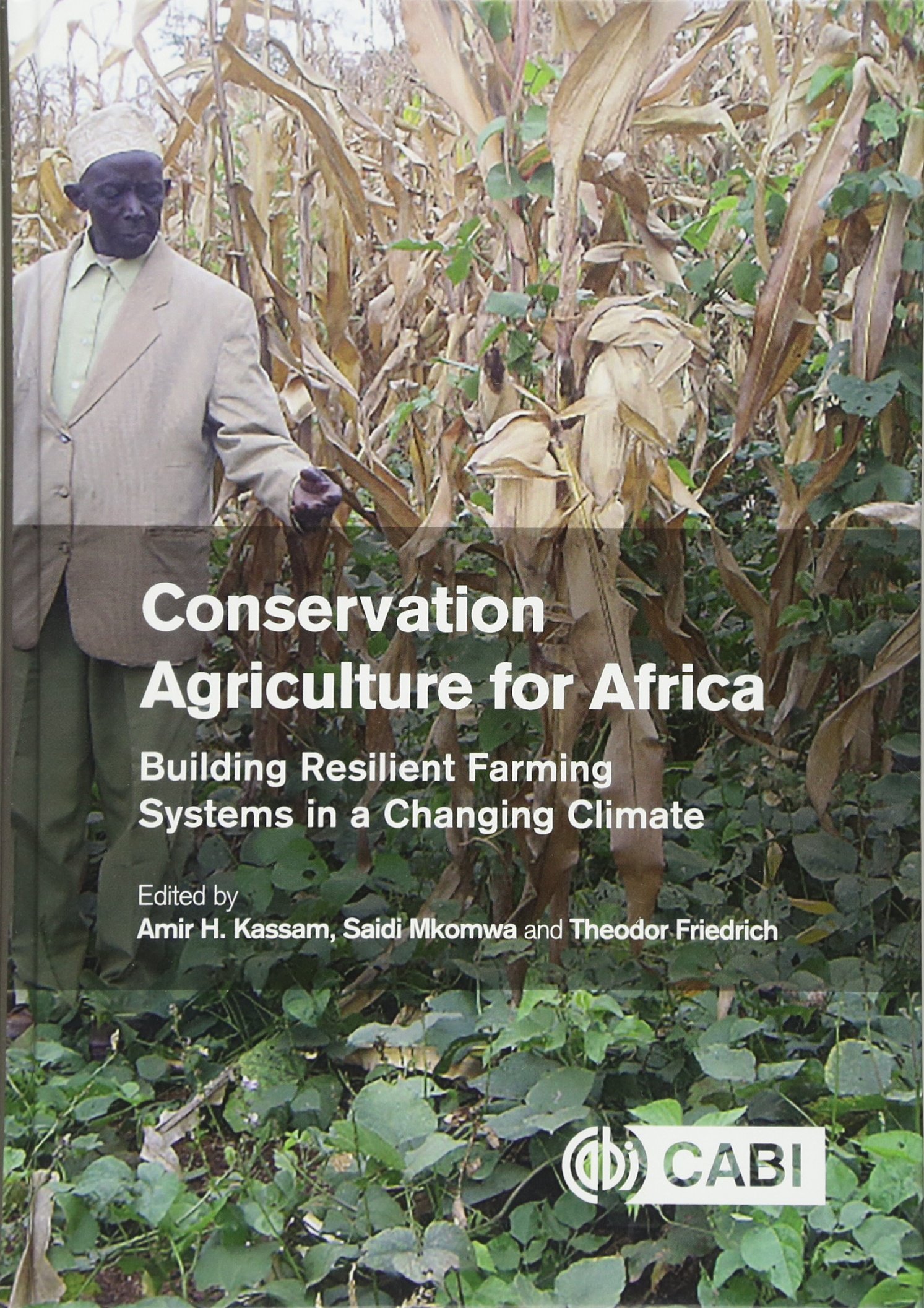 Buy Conservation Agriculture for Africa: Building Resilient Farming Systems in a Changing Climate — BookShops.in
