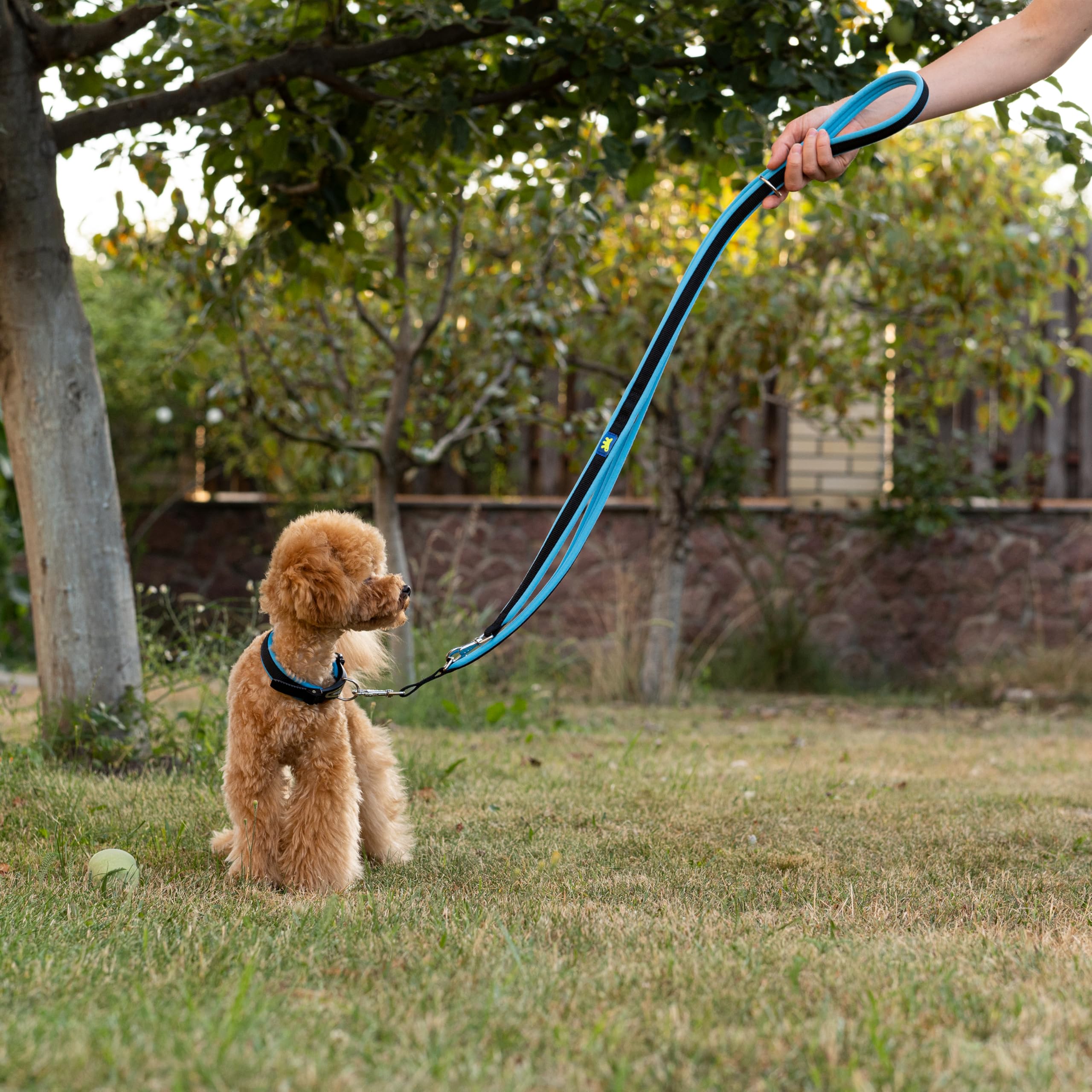 Ferplast ERGOFLUO GA Training Dog Lead, 3 Adjustable Lengths, Soft Padded Handle, Anti-Abrasion, Italian Design, 200 x 1.5 cm - Image 3