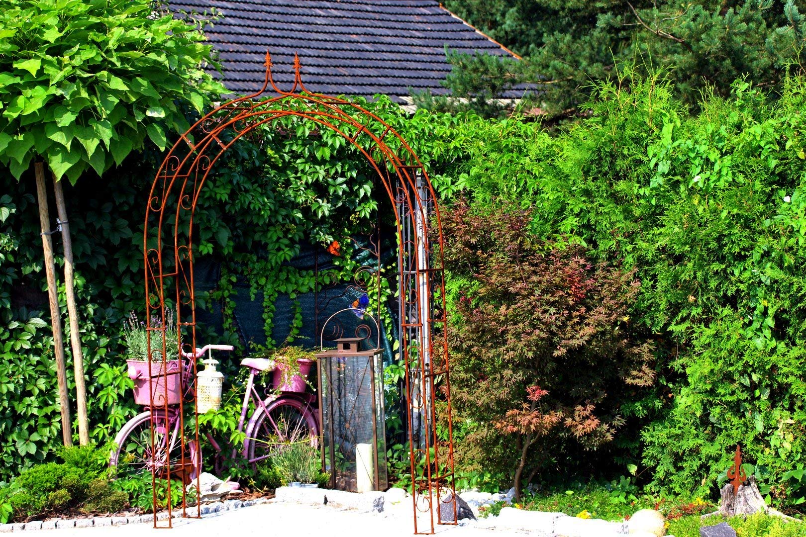 Support pour plantes grimpantes et arceau de jardin holland b 240cm