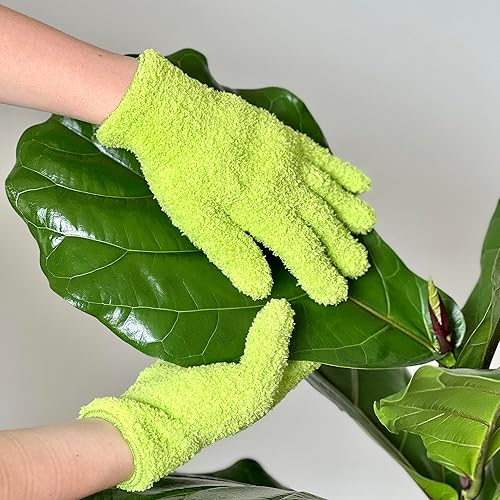 Miniatura 3 de Kit de cuidado de plantas de interior para padres de plantas, fertilizante, bienestar de las hojas, guantes de microfibra para plantas