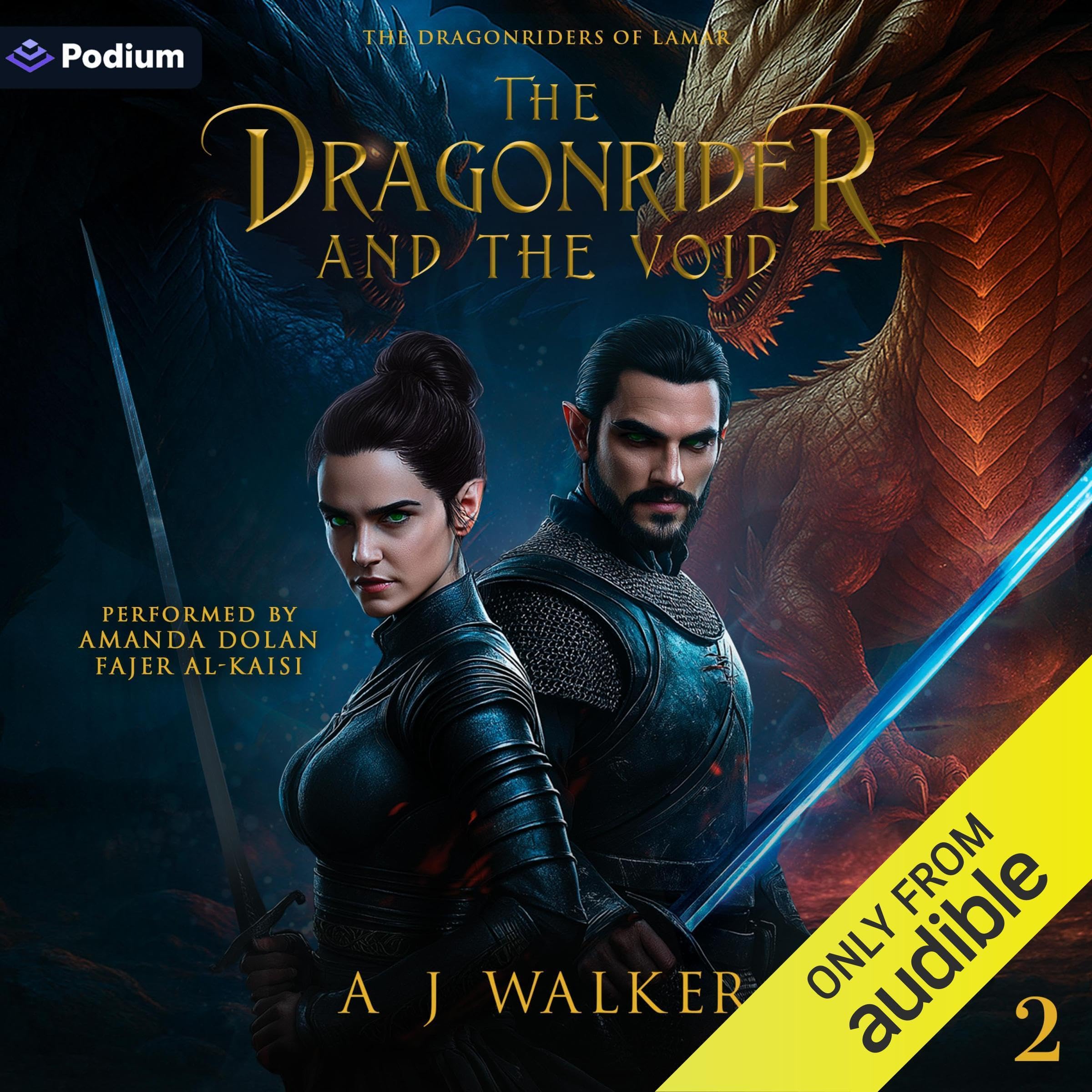 Cover art for The Dragonrider and the Void