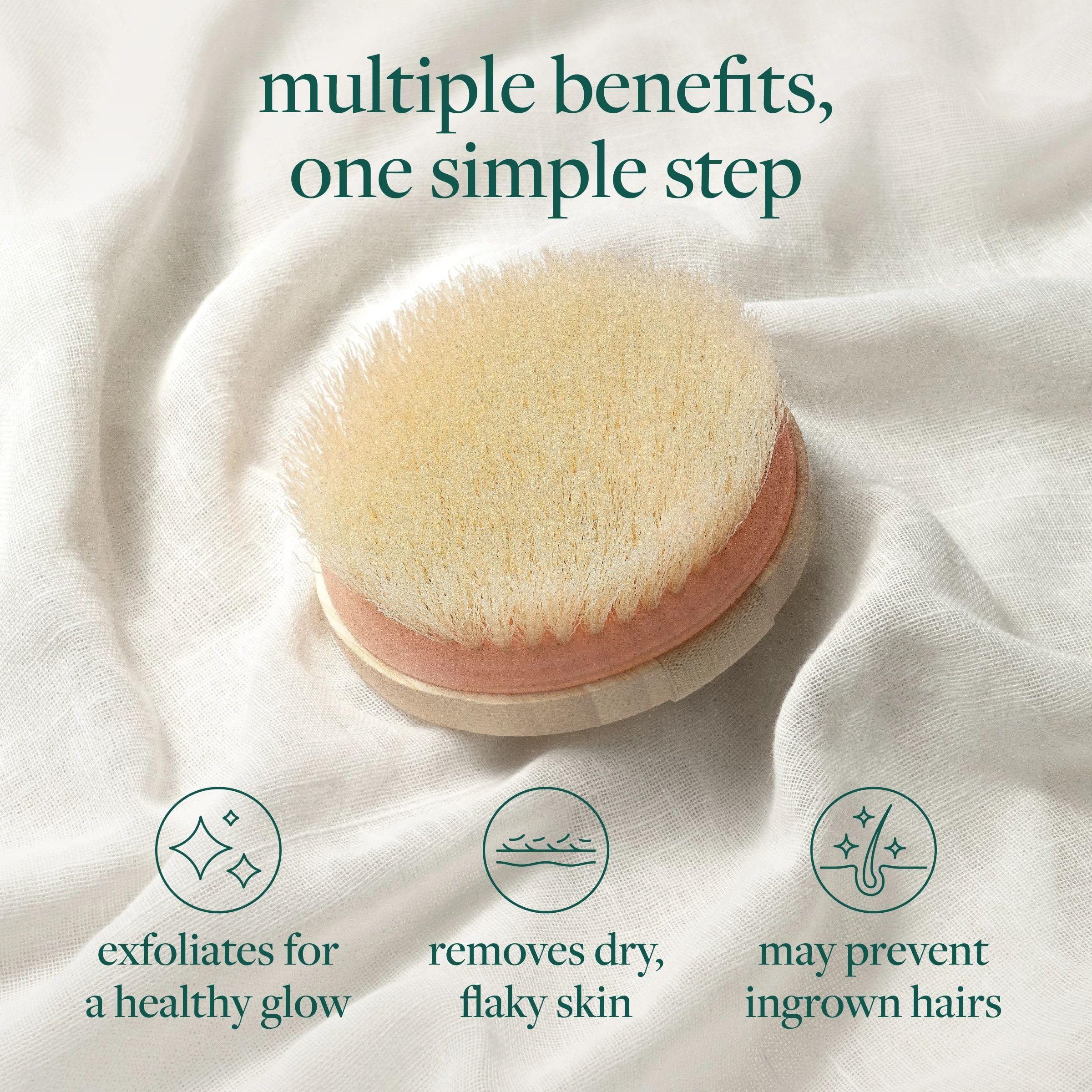 EcoTools Dry Body Brush - Smooth Skin -3