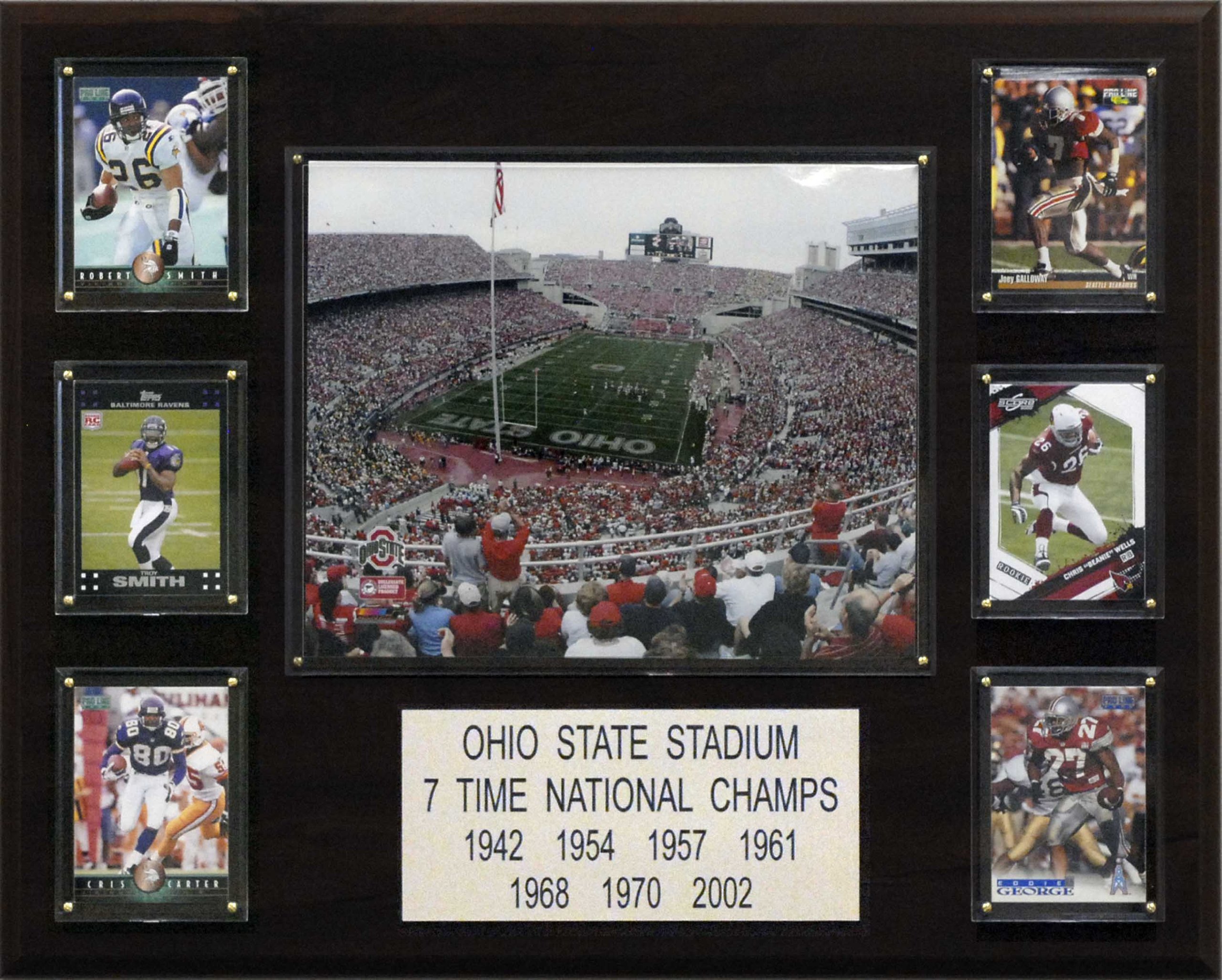 NCAA Football Ohio Stadium Stadium Plaque