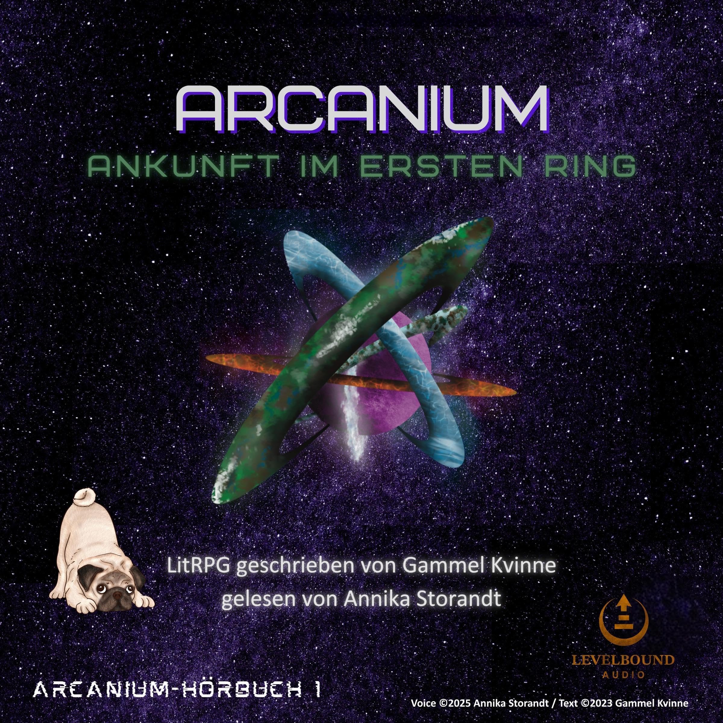 Cover art for Arcanium: Ankunft im ersten Ring